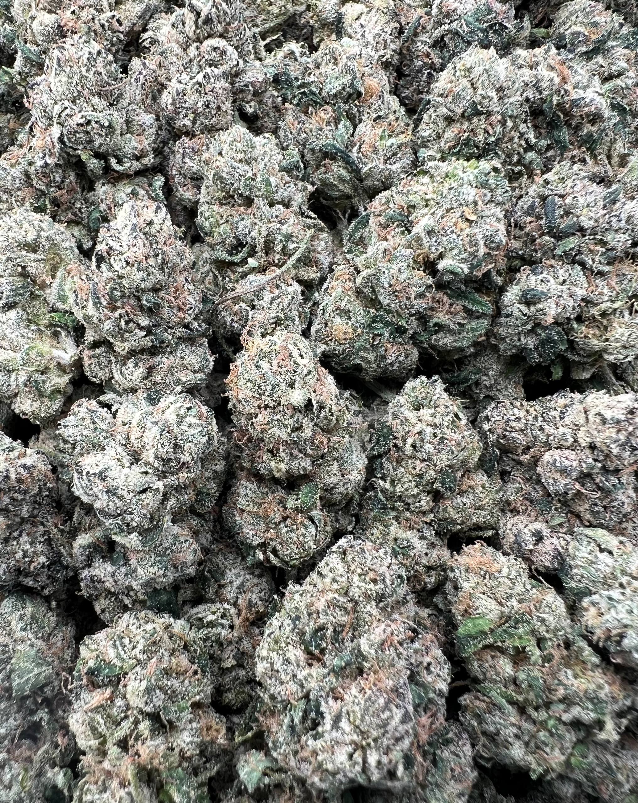 WHITE CHERRY GELATO [875]