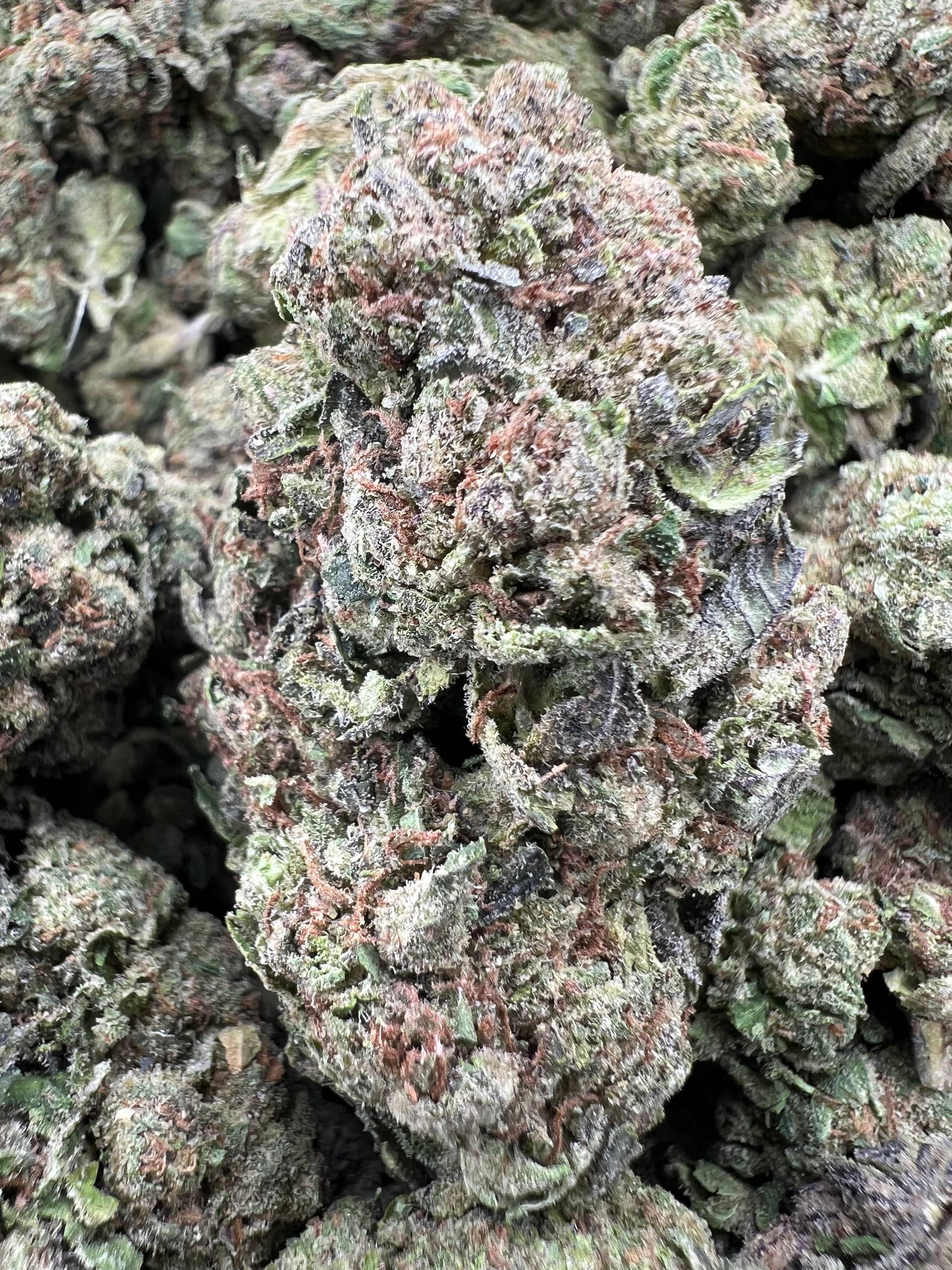 CANDY CRUSH [600]