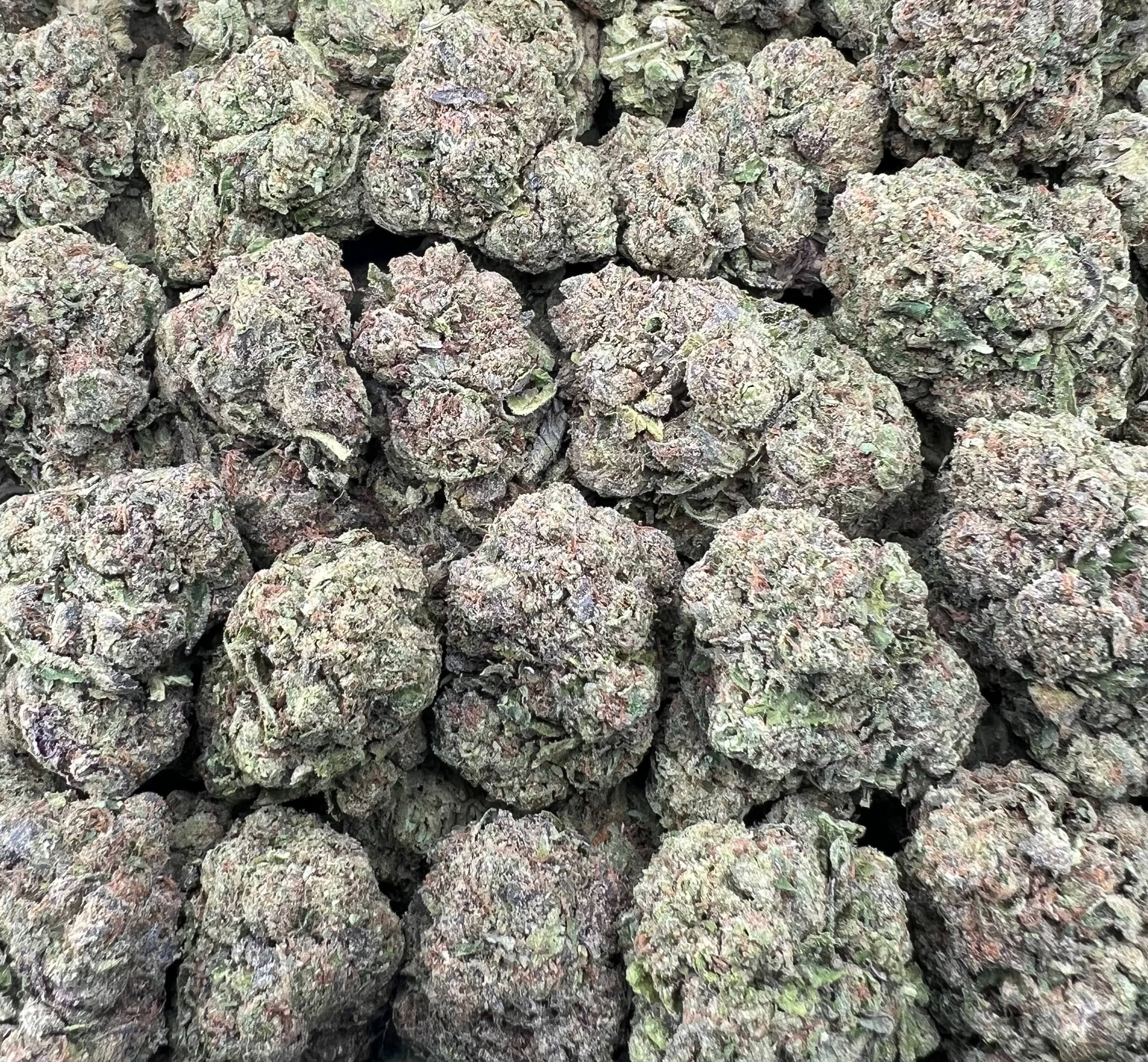 CANDY CRUSH [600]