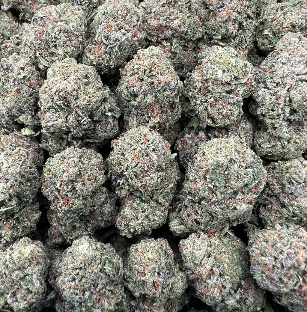 SOUR BANGERZ [500]