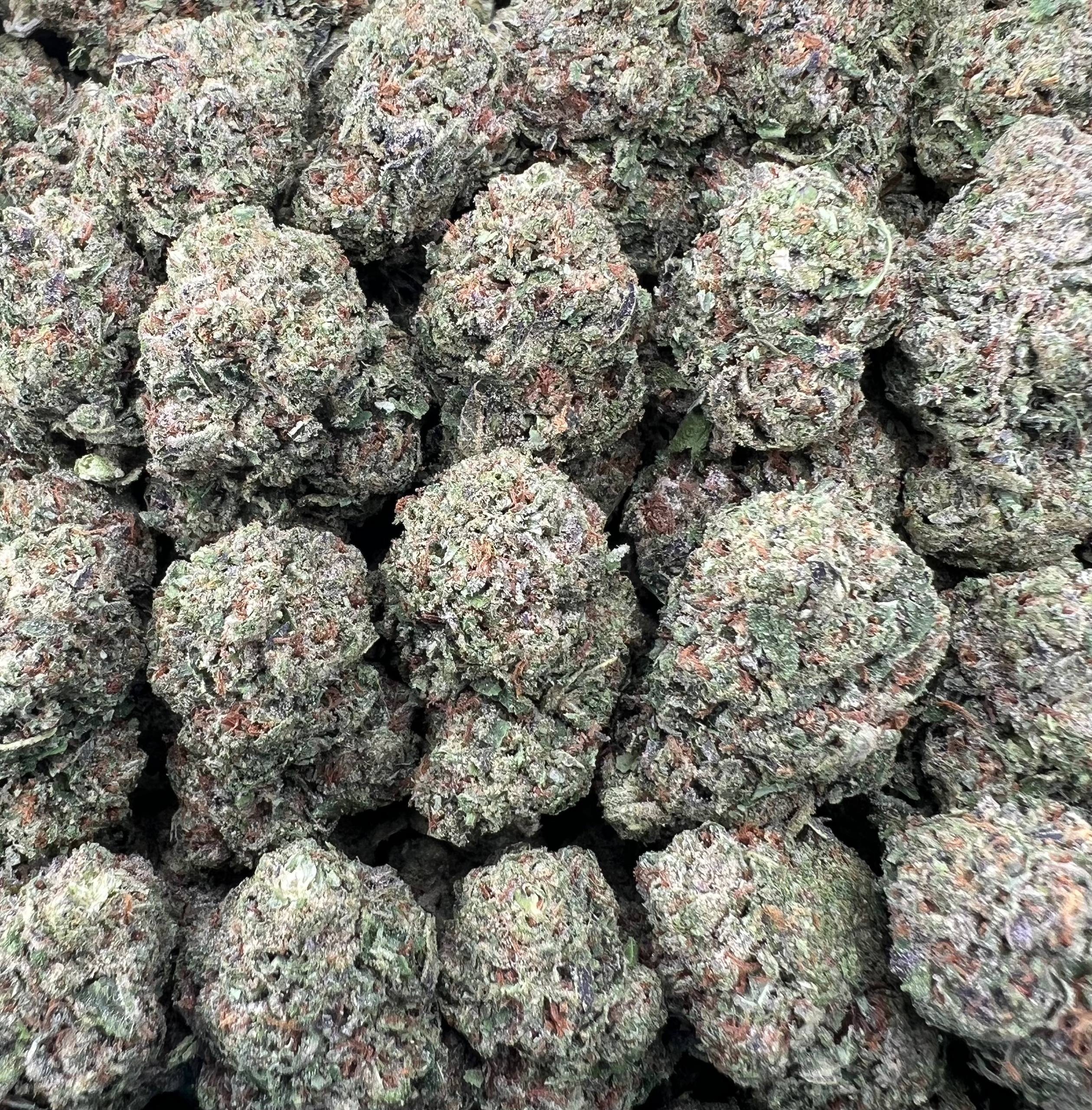 SOUR BANGERZ [500]