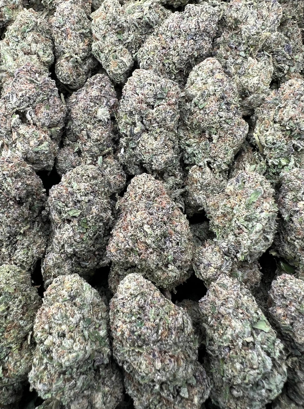SOUR Z [550]