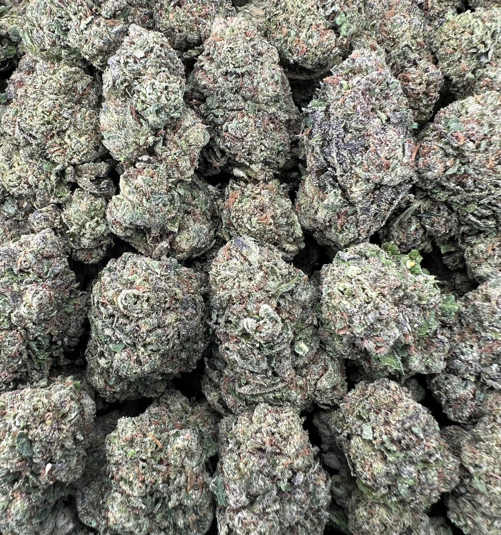 WAFERZ [550]