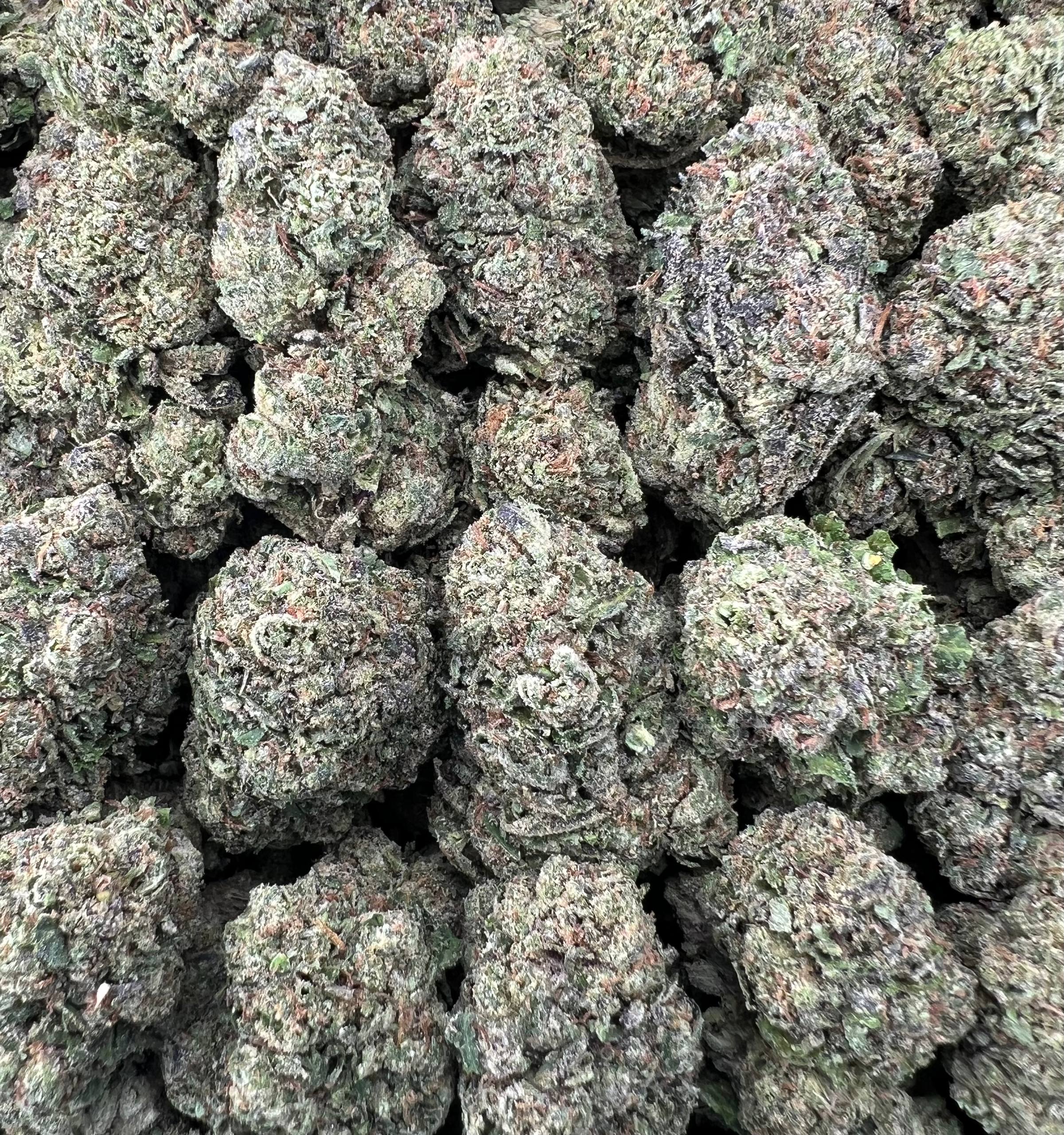 WAFERZ [550]