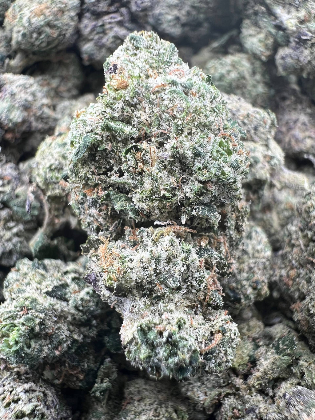 THAT CHERRY CANDIES [800]