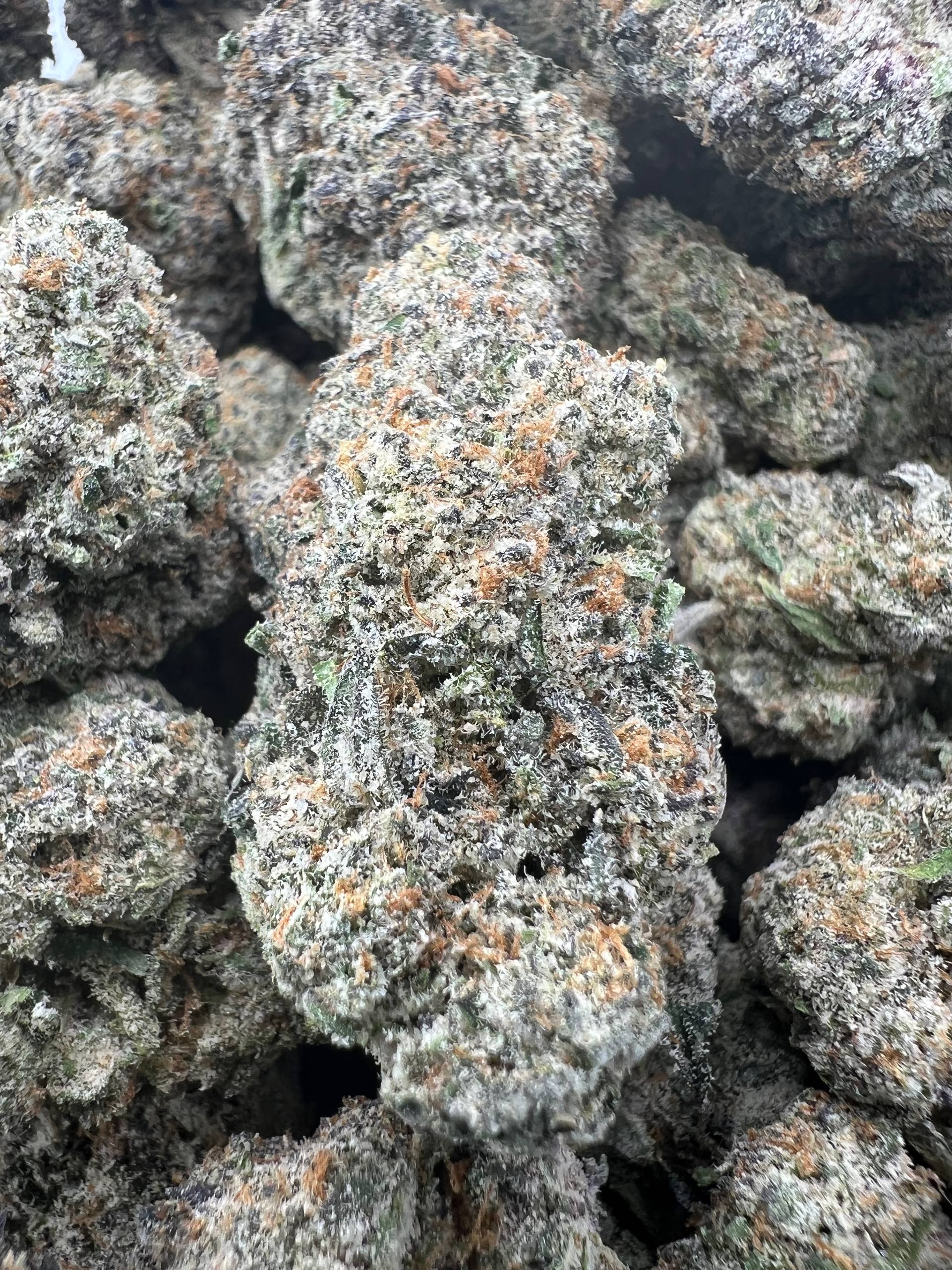 KOOLAID [1500]