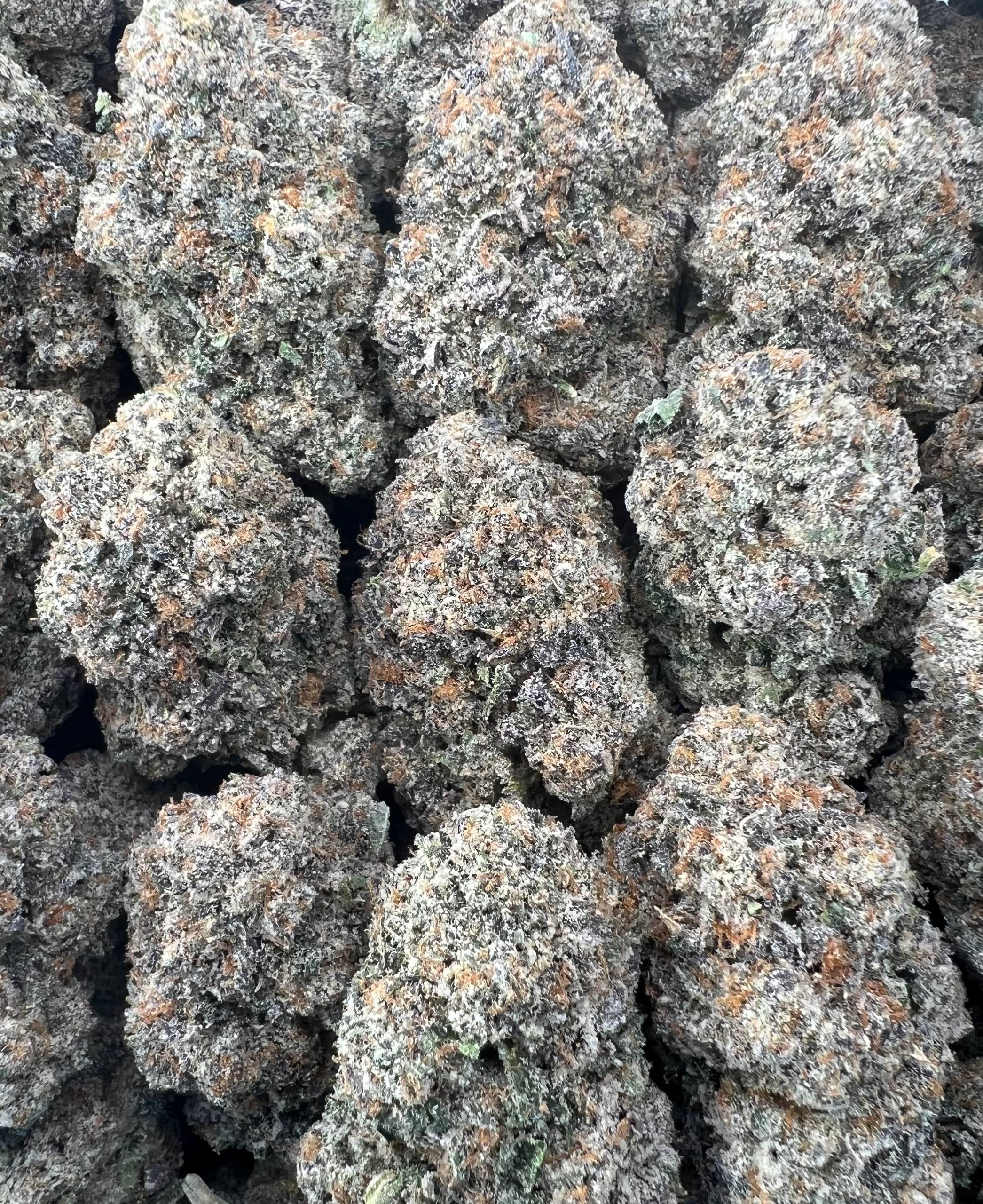KOOLAID [1500]