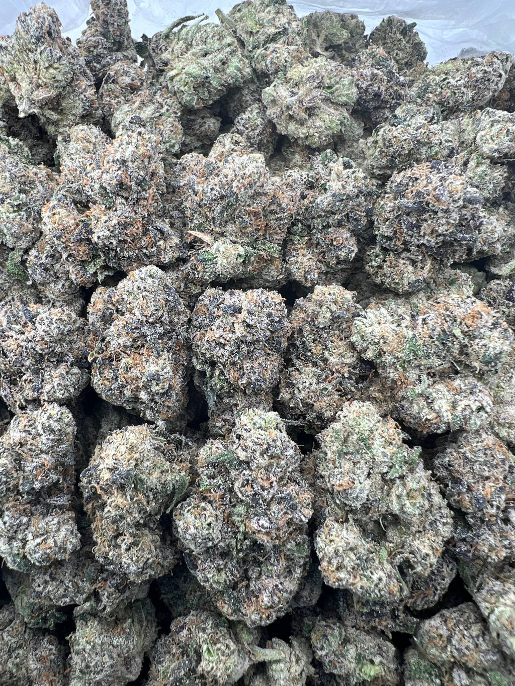 JOKERZ [1400]