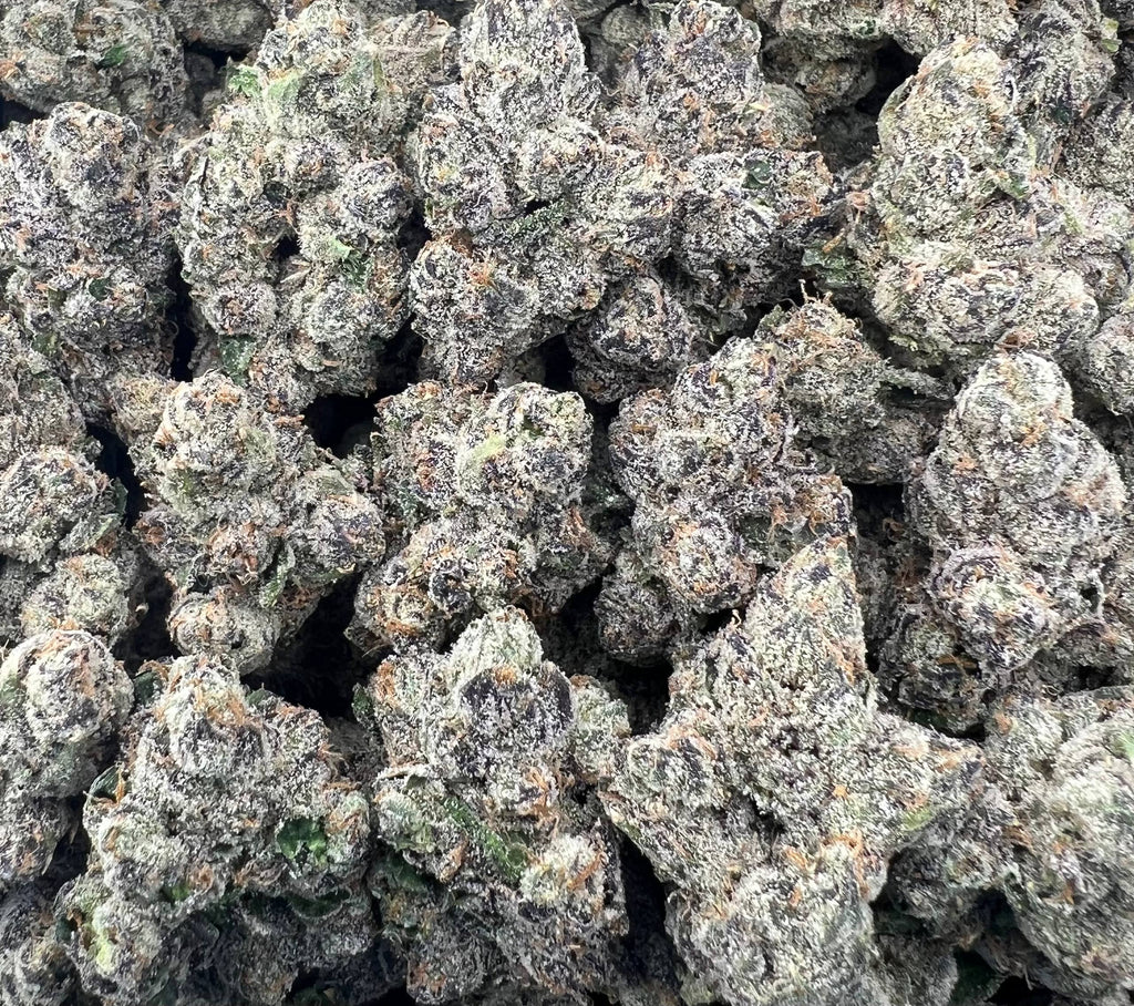 WARHEADZ [1500]