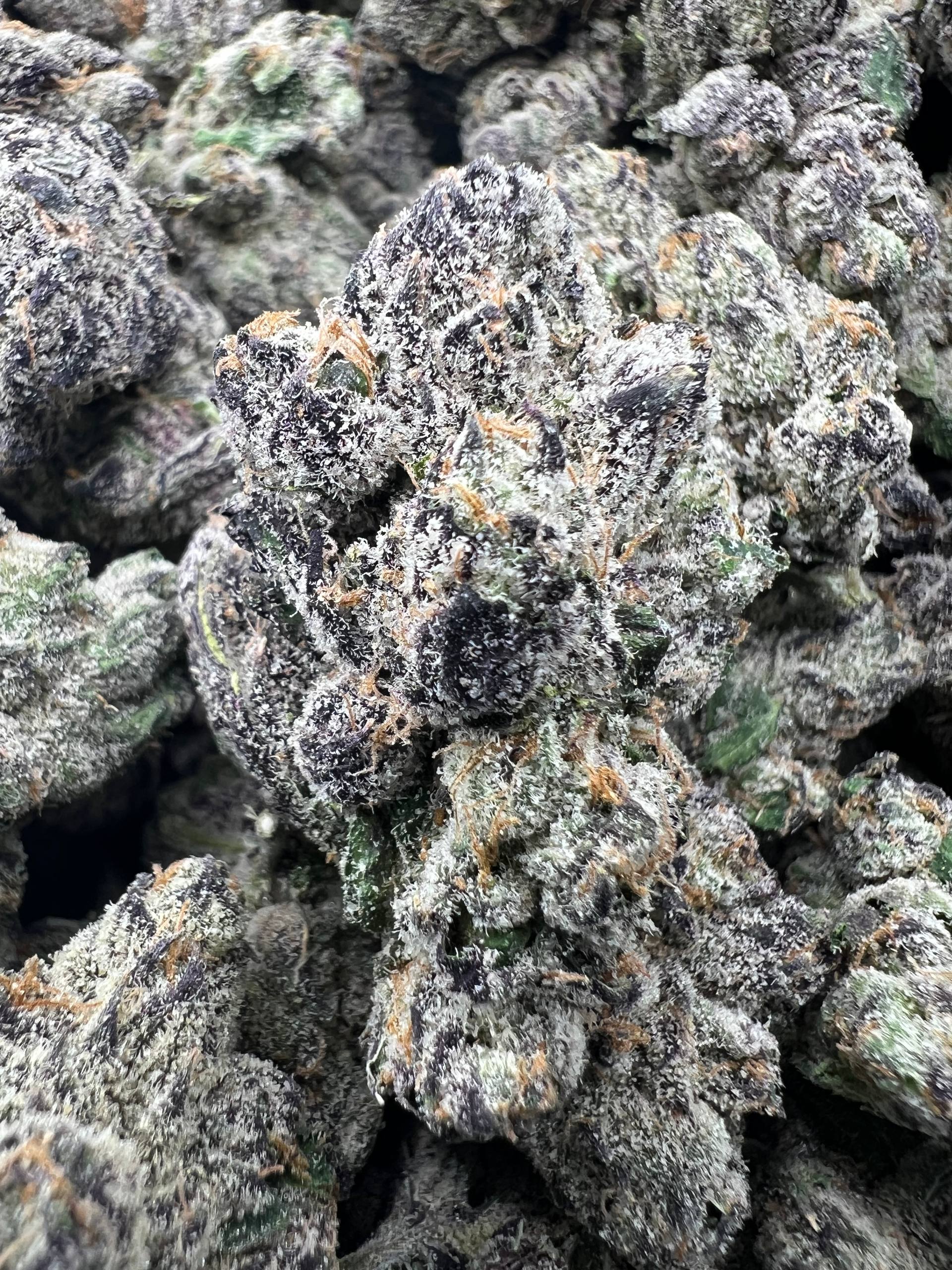 SUPER SAUCE [1300]