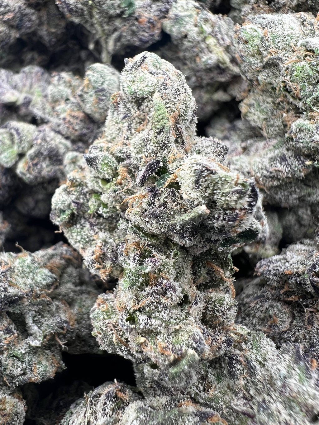 GUMBO KUSH BERRIES [1500]