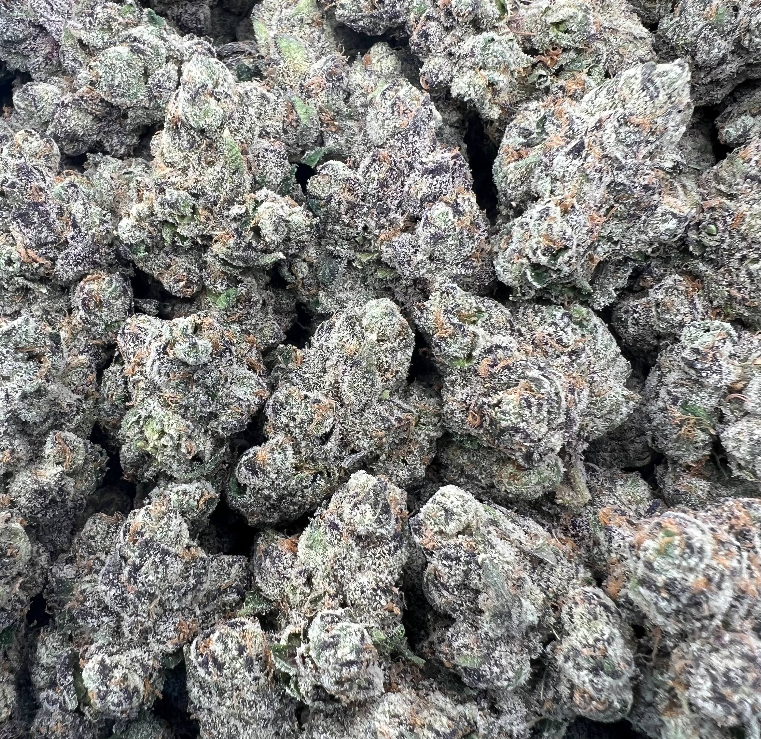 GUMBO KUSH BERRIES [1500]