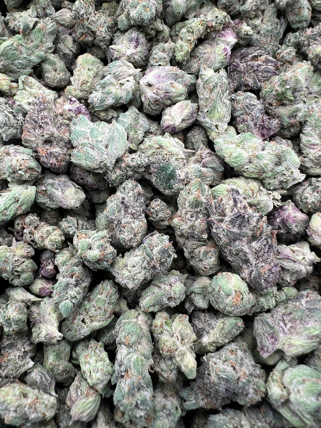 APPLE FRITTER MEDIUMS [600]