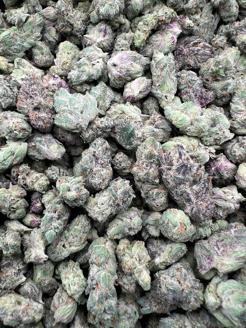 APPLE FRITTER MEDIUMS [600]