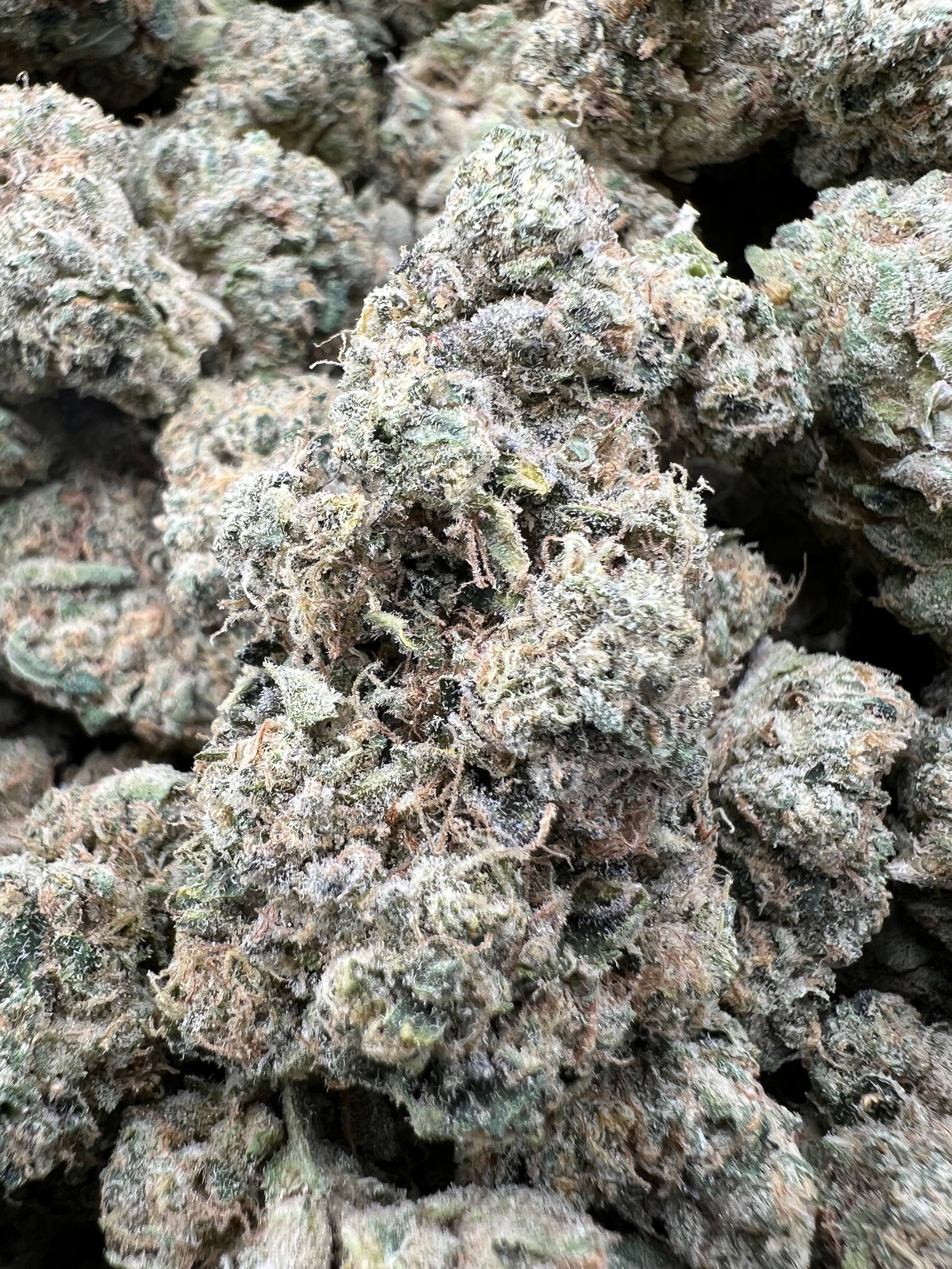 MAC 10 [750]