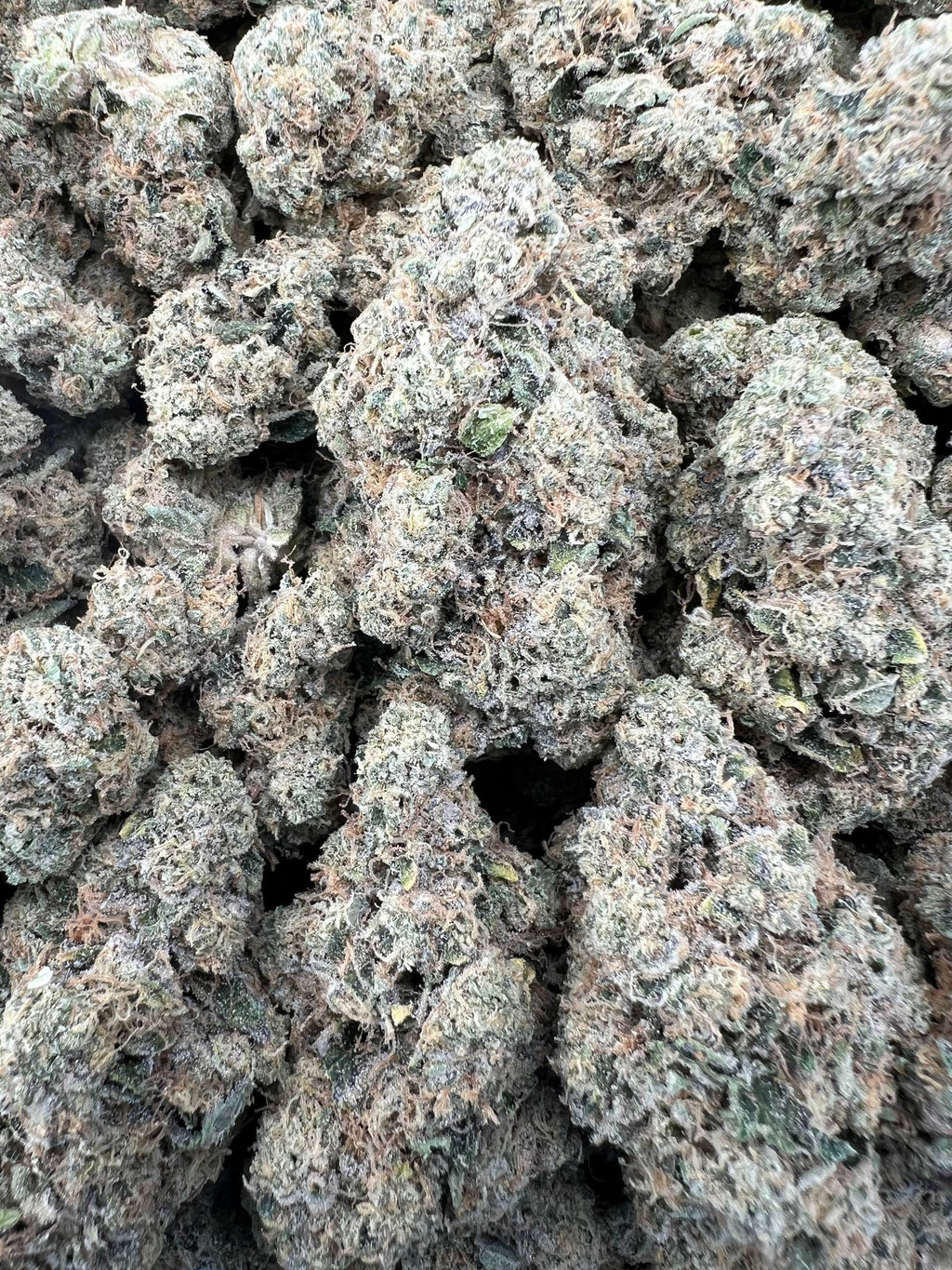 MAC 10 [750]