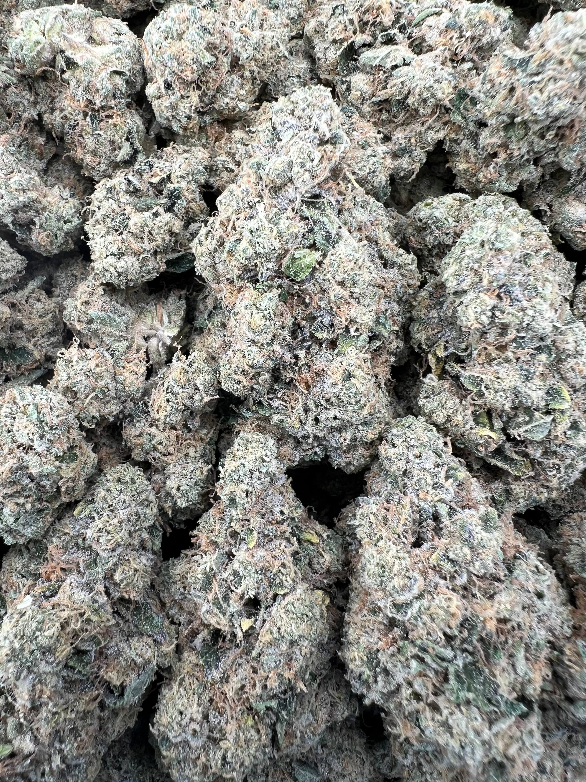 MAC 10 [750]