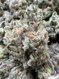 JR DULCE DE LECHE [550]