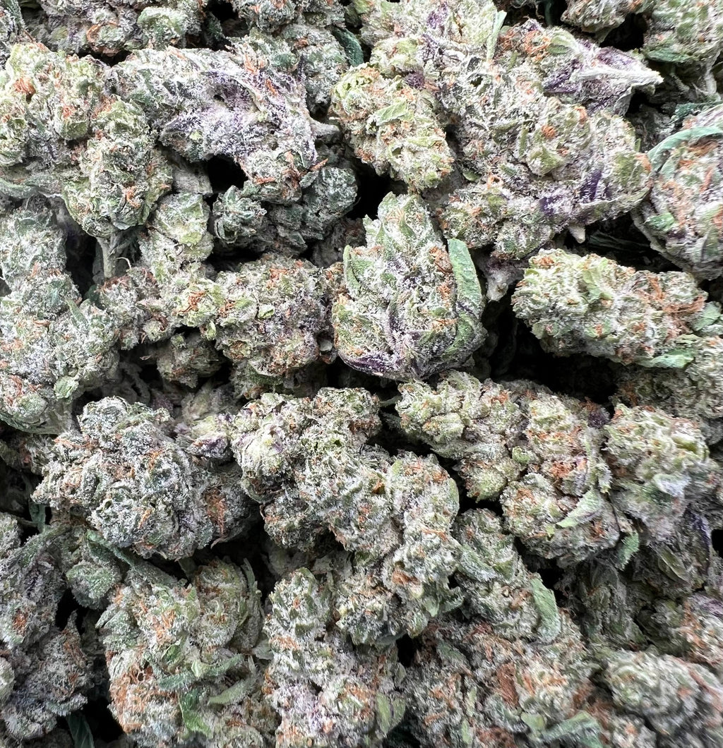 JR DULCE DE LECHE [550]