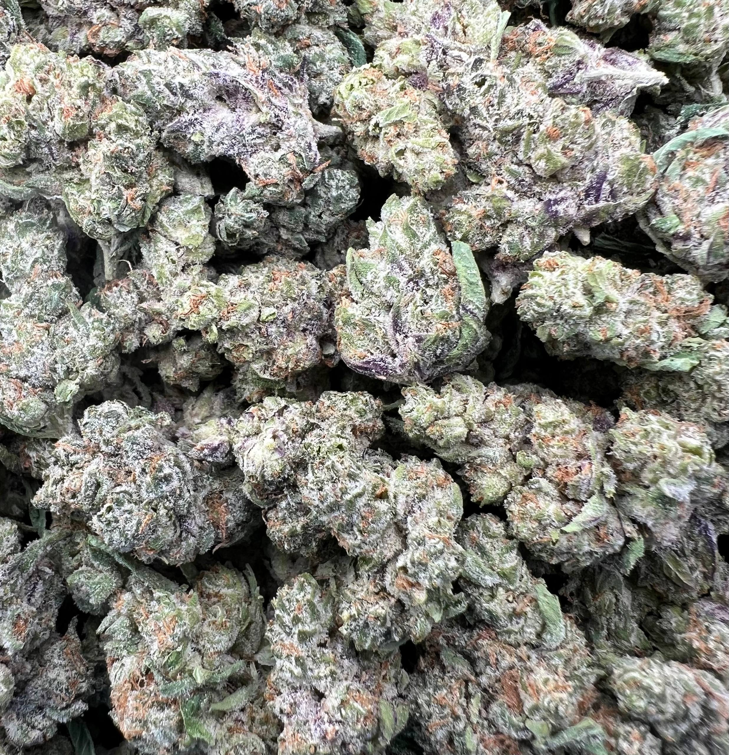 JR DULCE DE LECHE [550]