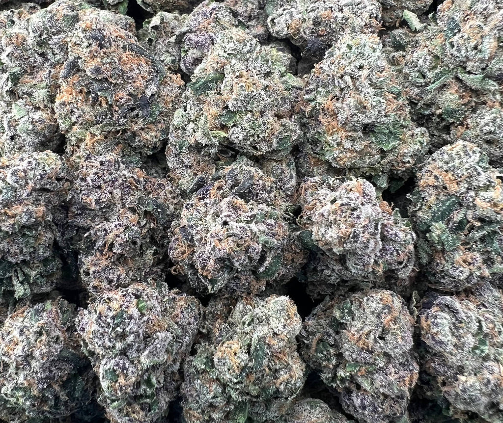 HOOD CANDY [1100]
