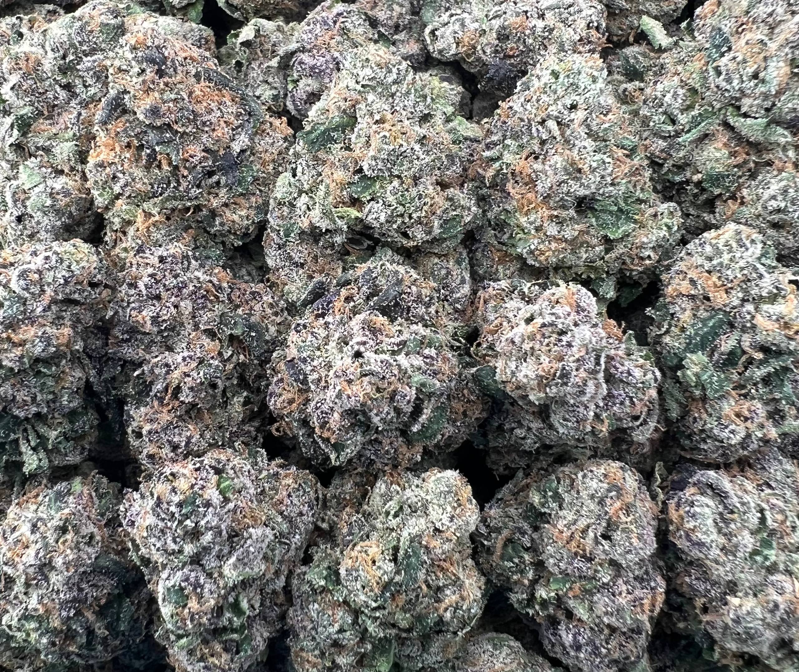 HOOD CANDY [1100]