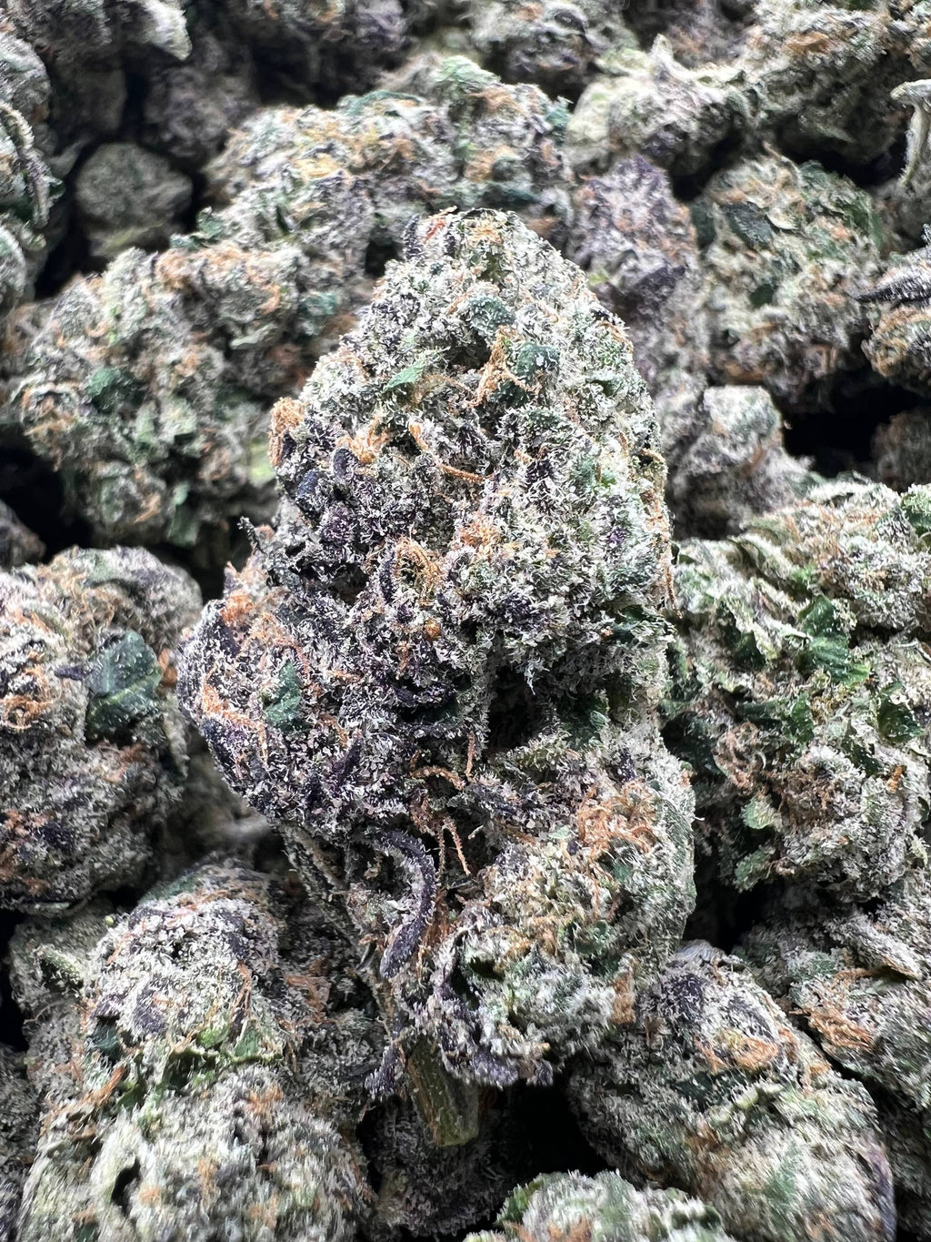 TREATZ [1050]