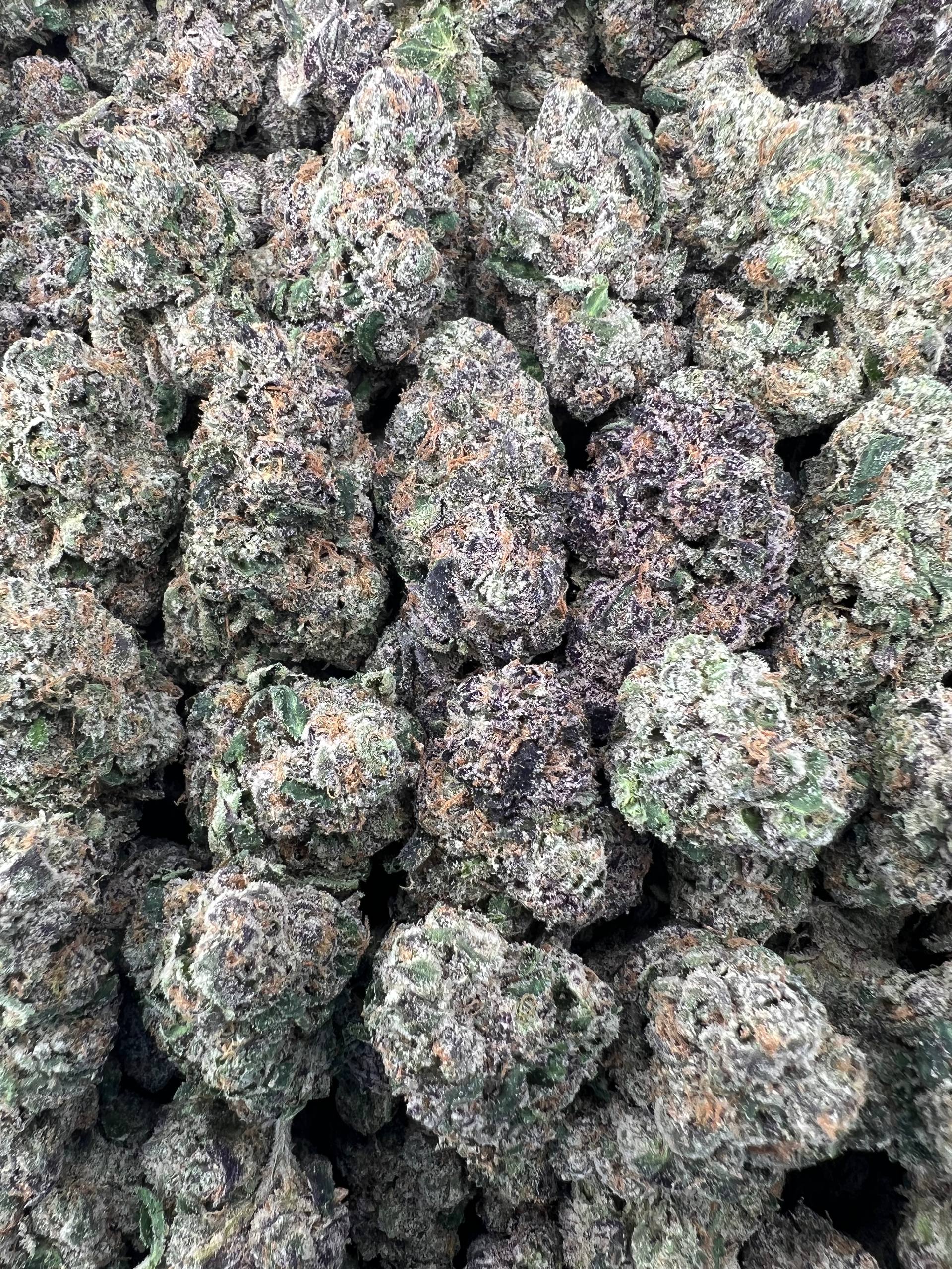 TREATZ [1050]
