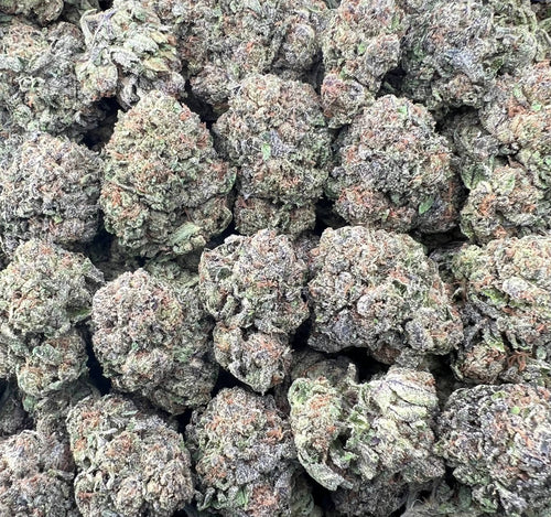 BLUE ZOOTIES [550]