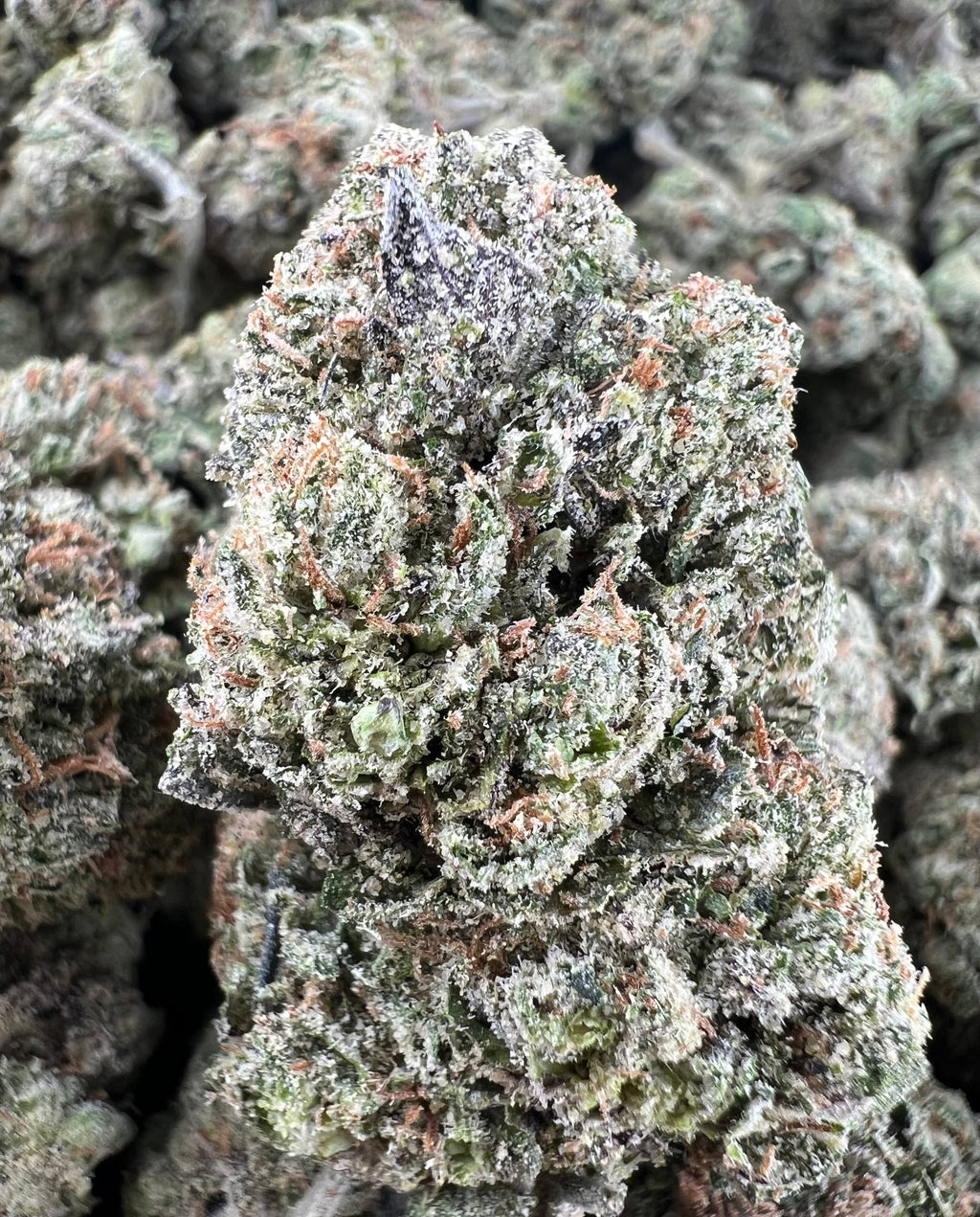 AAA CANDY [700]