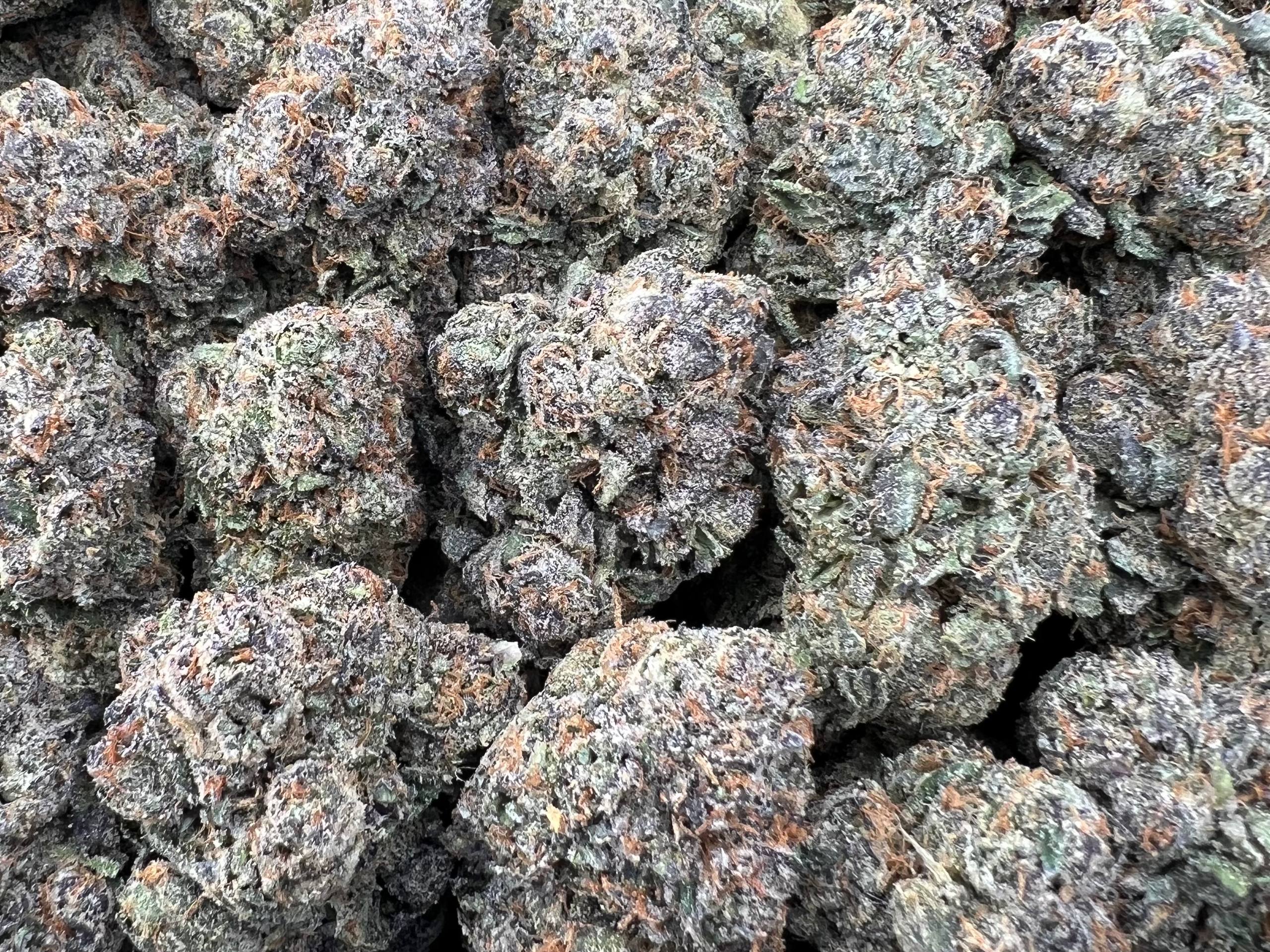 GUAVA BERRY RUNTZ [900]