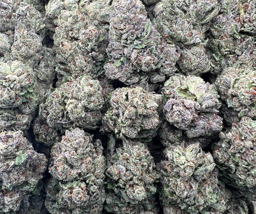 CANDEEZ [550]