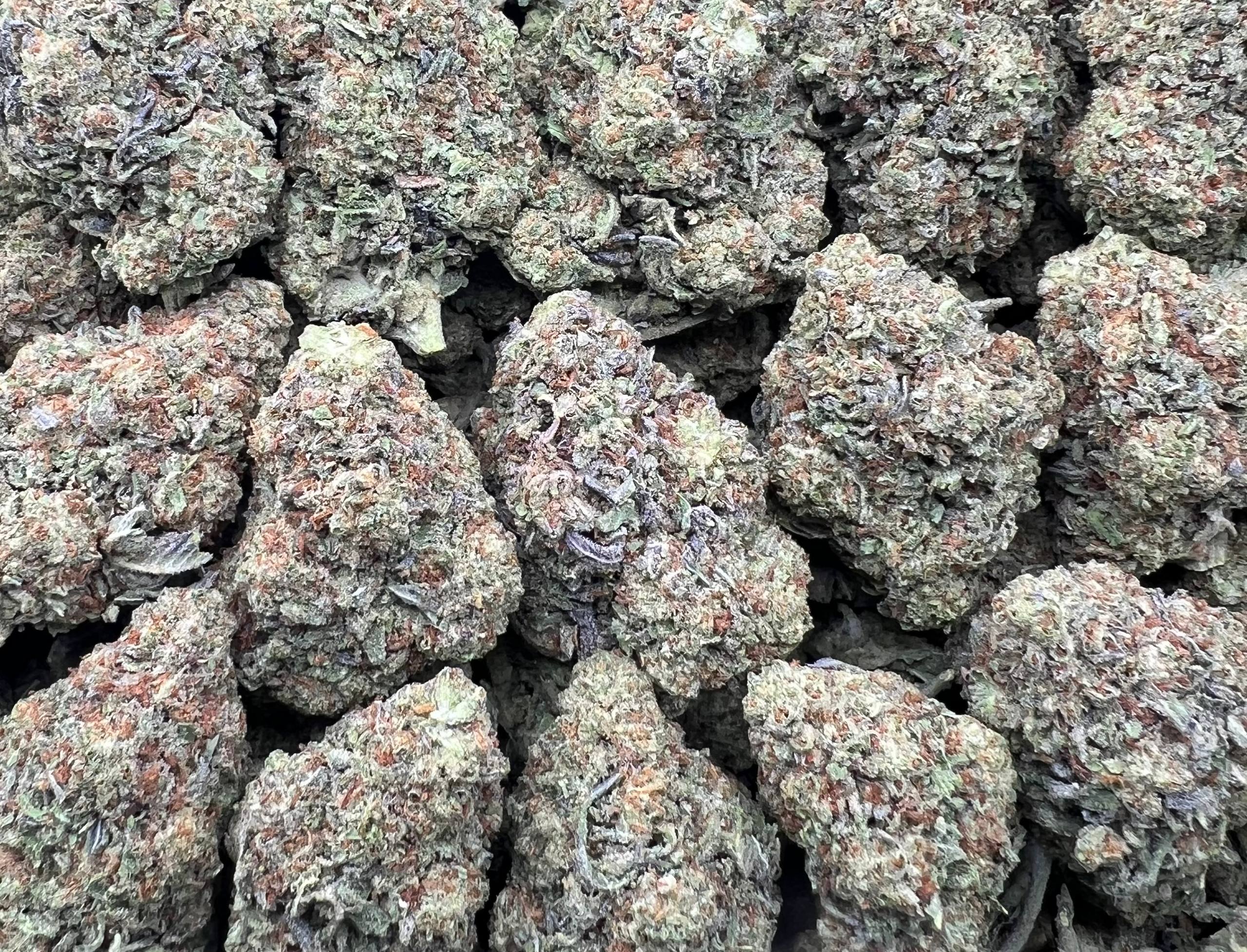 WHITE GMO [400]