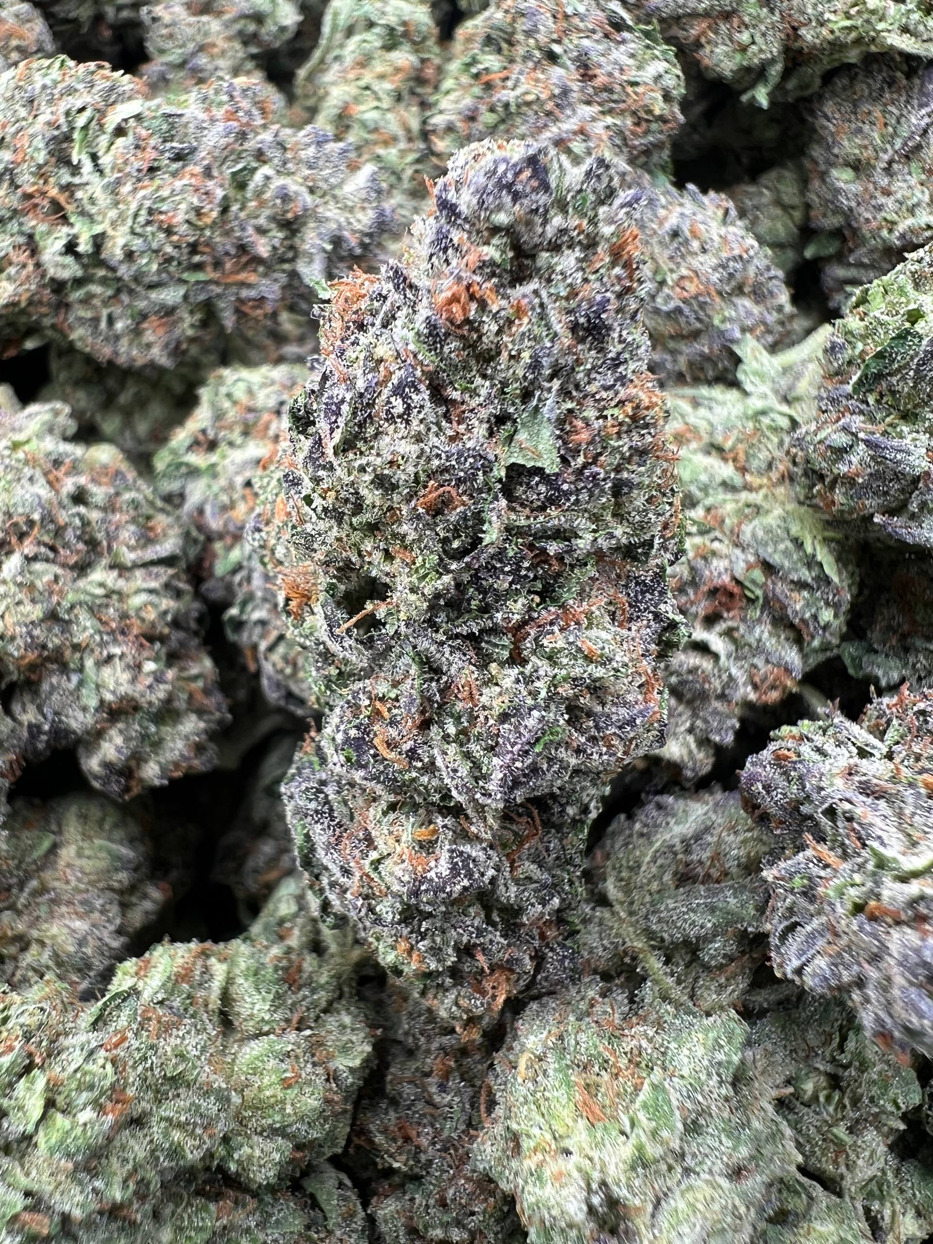 KEY LIME PIE [400]