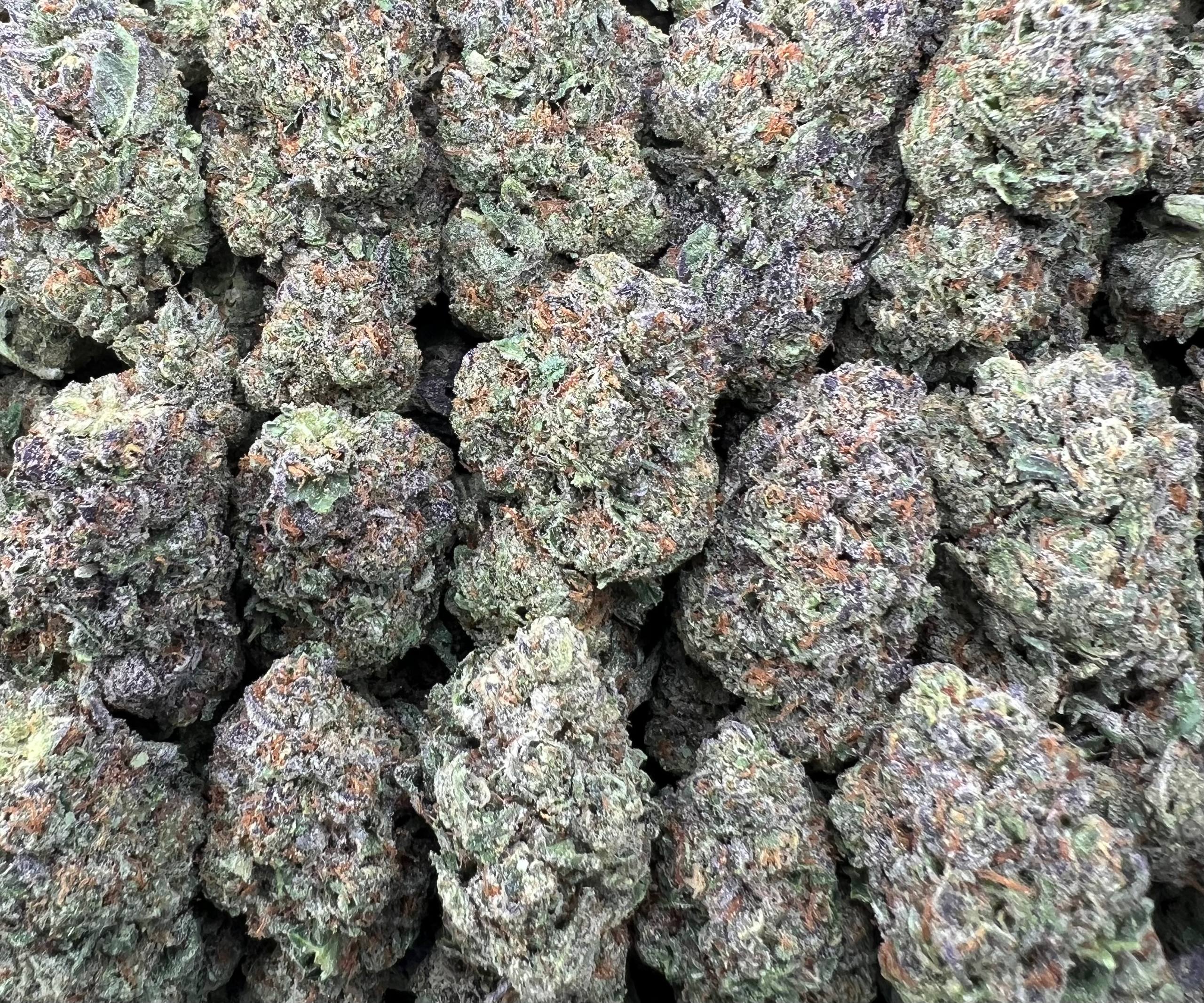 KEY LIME PIE [400]