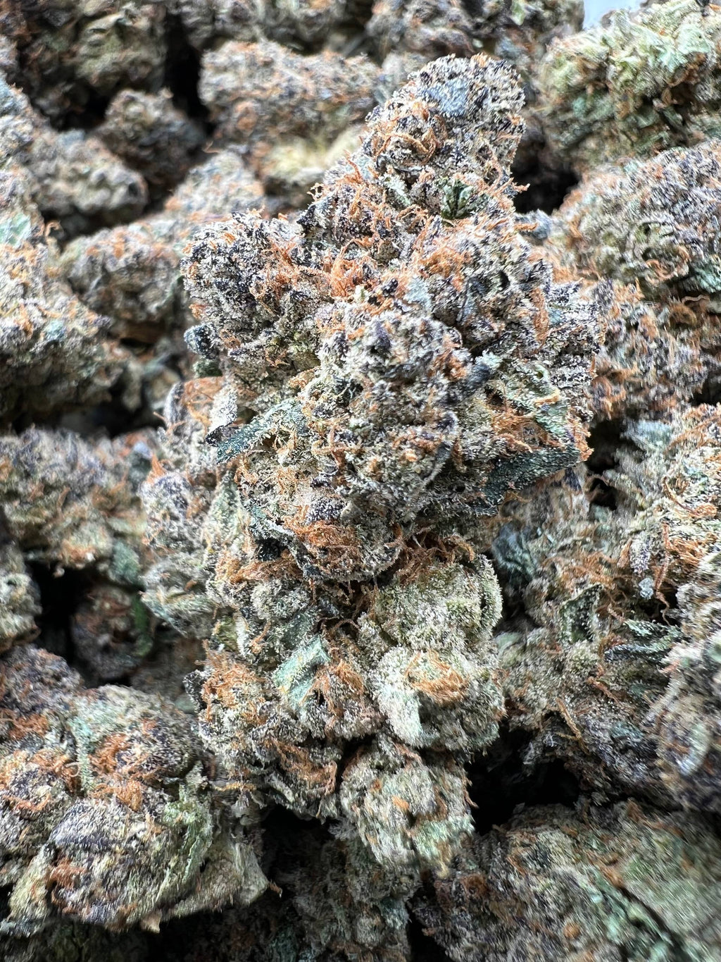 TROPICAL CHERRY CANDY [850]
