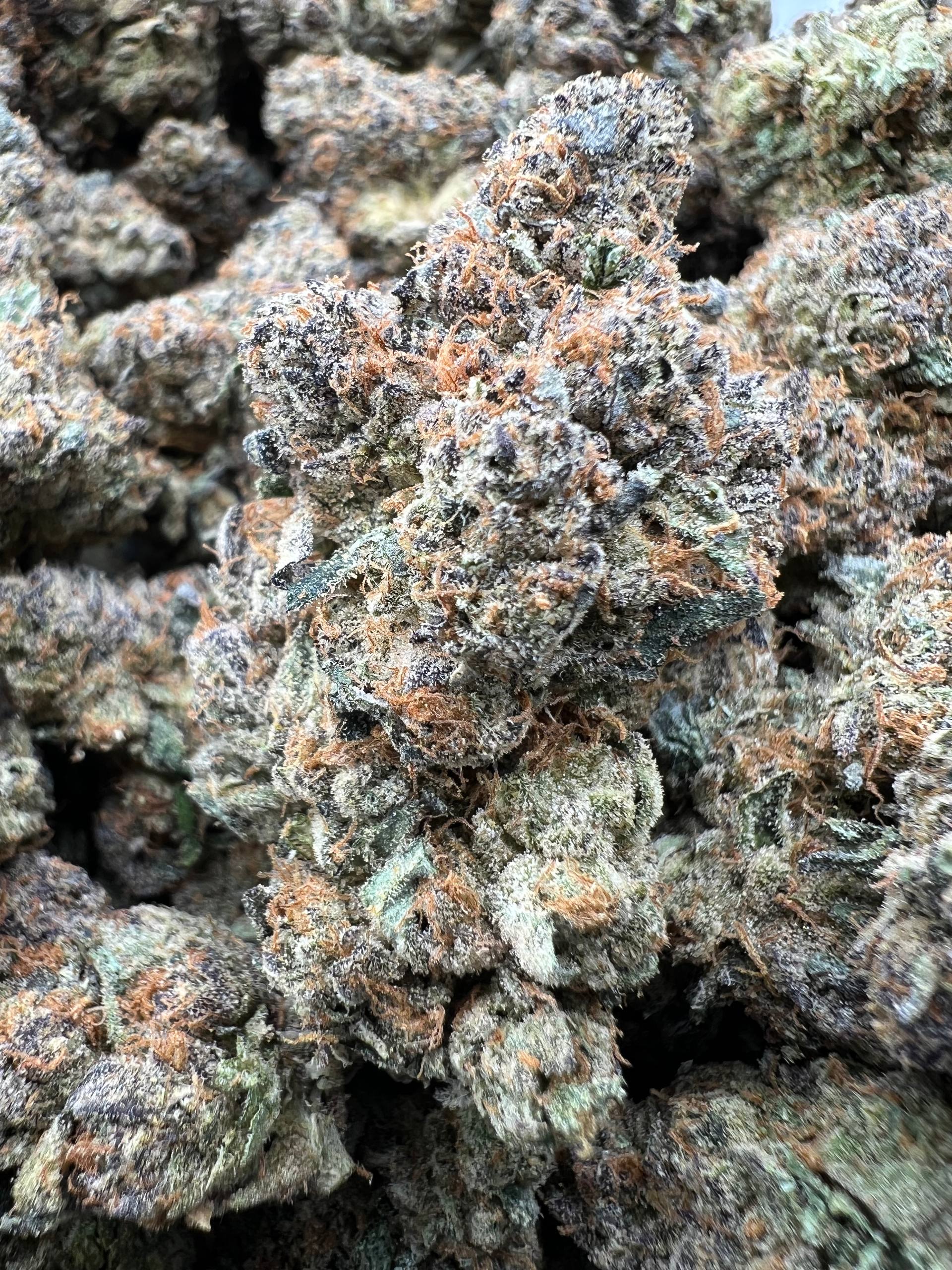 TROPICAL CHERRY CANDY [850]