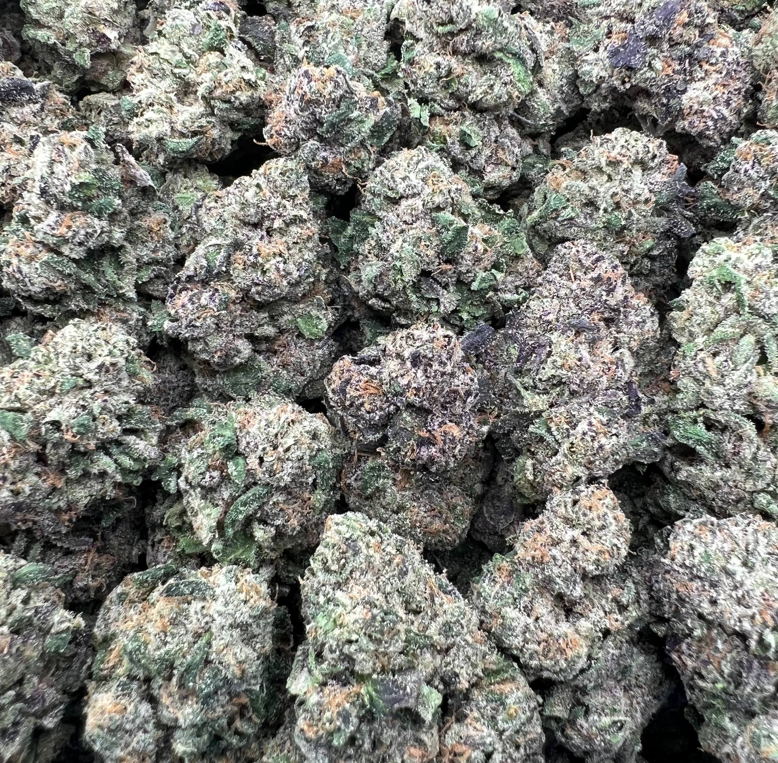 CANDY COLADA [1100]