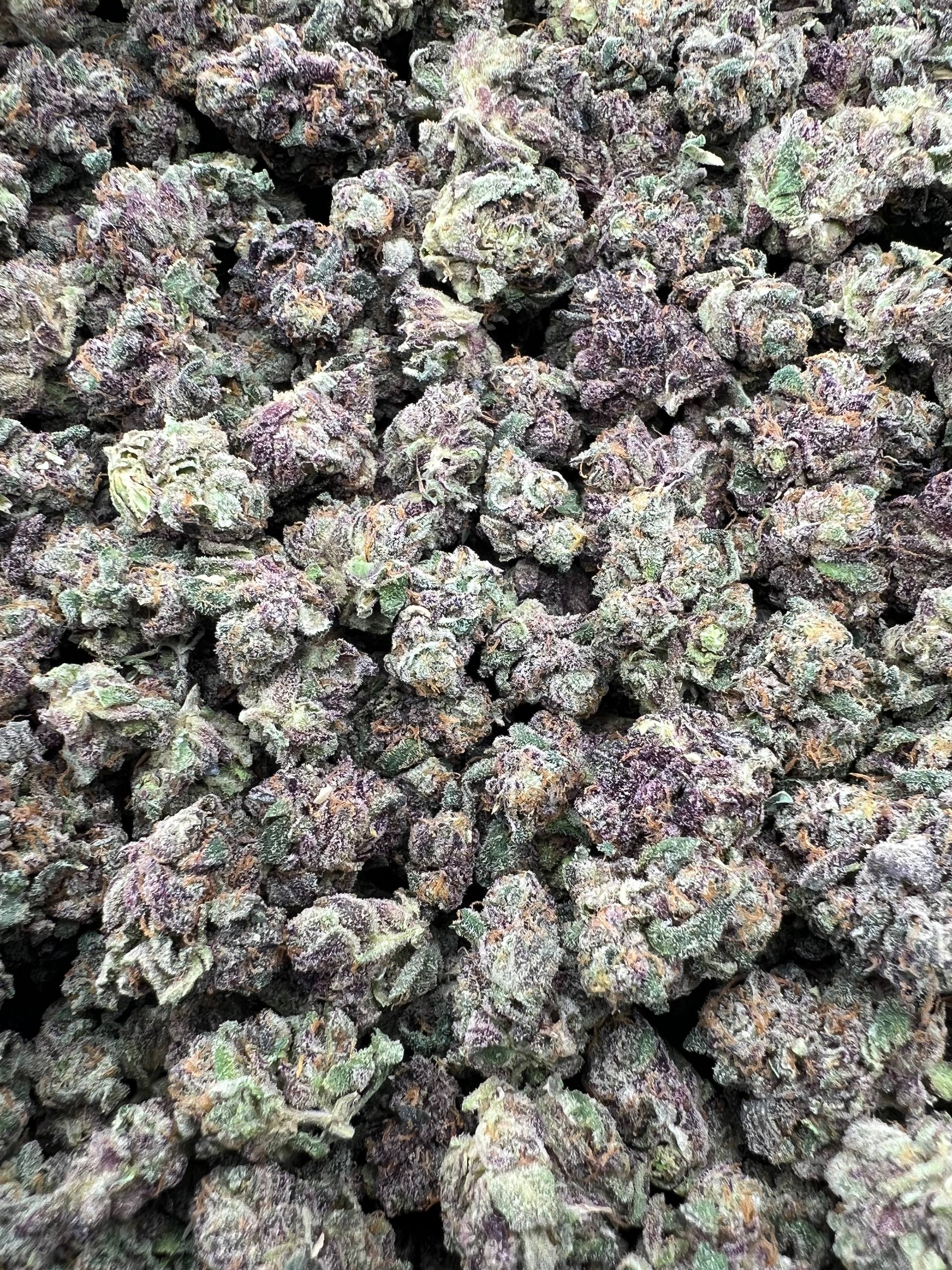 JR DELISH [700]