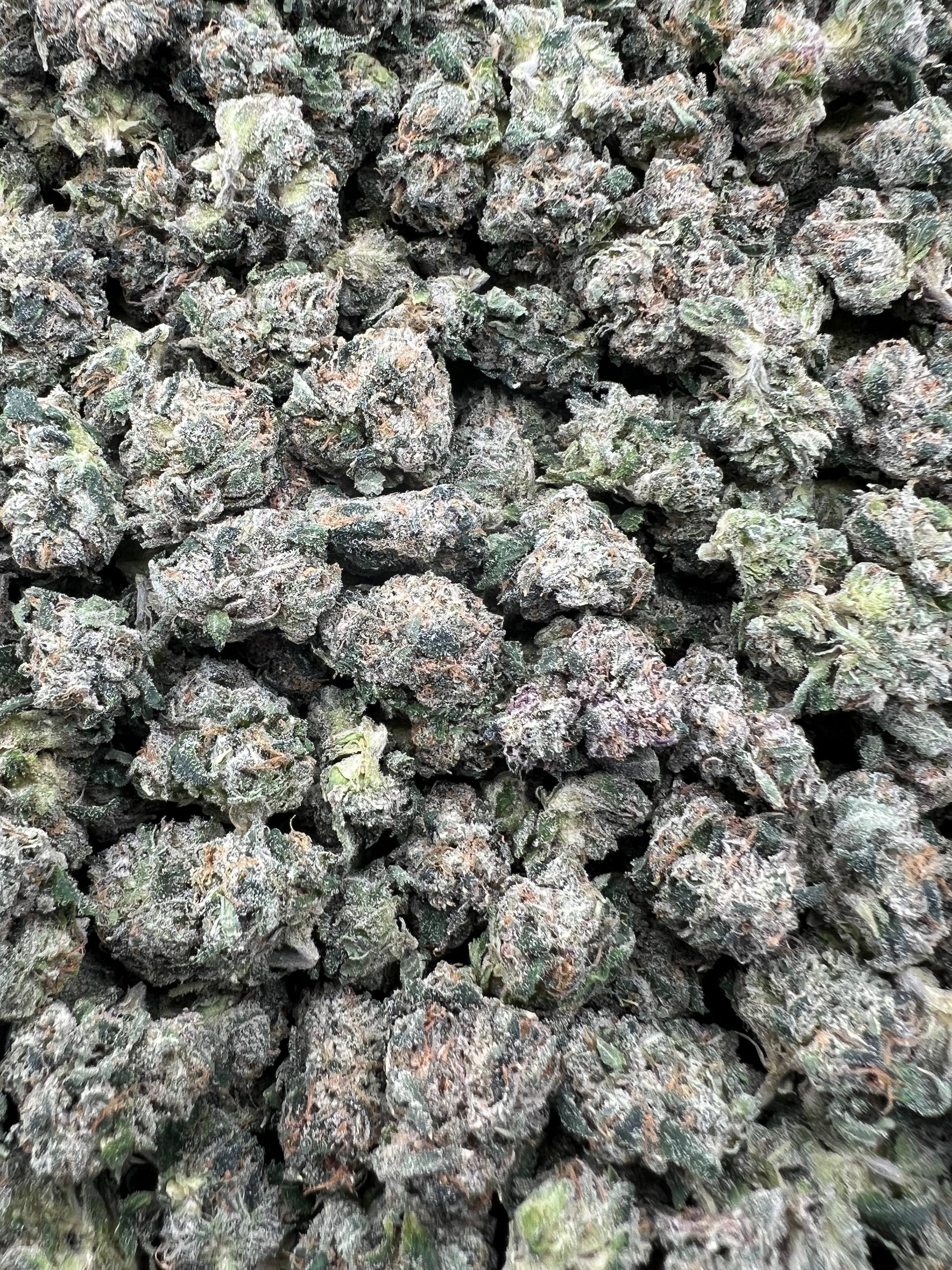JR BLACK CHERRY GELATO [700]