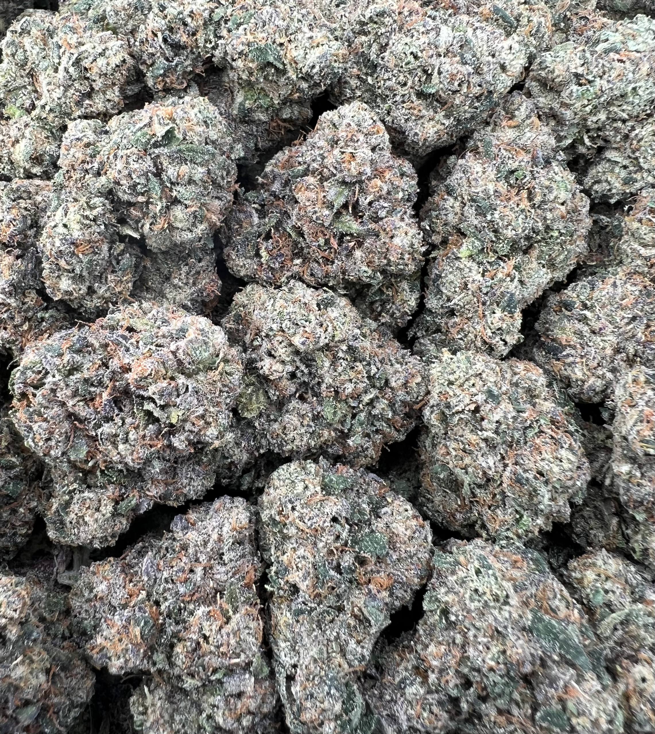BLACK CHERRY GELATO [900]