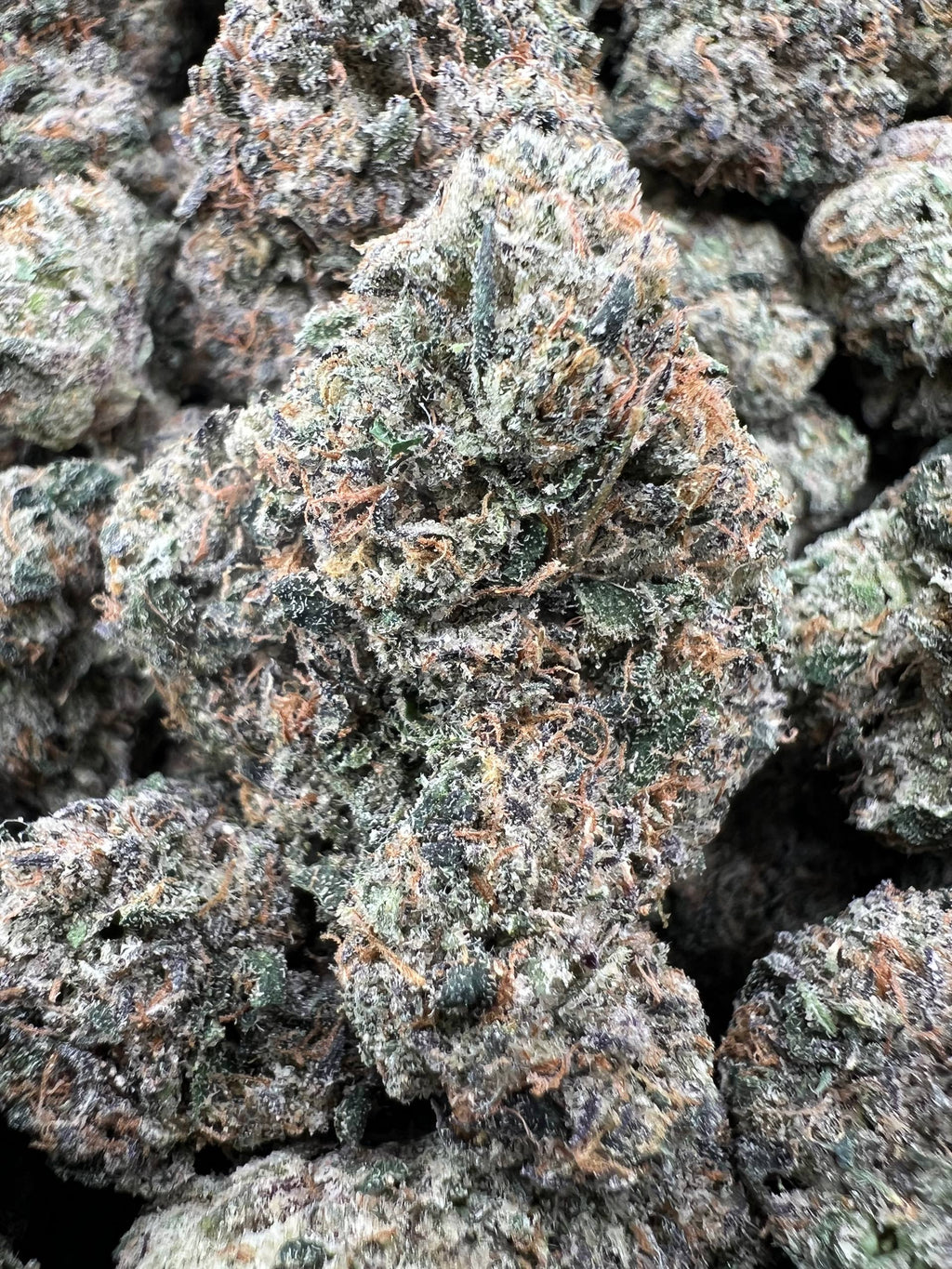 BLACK CHERRY GELATO [900]