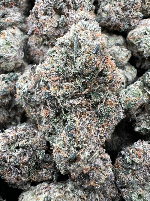 BLACK CHERRY GELATO [900]