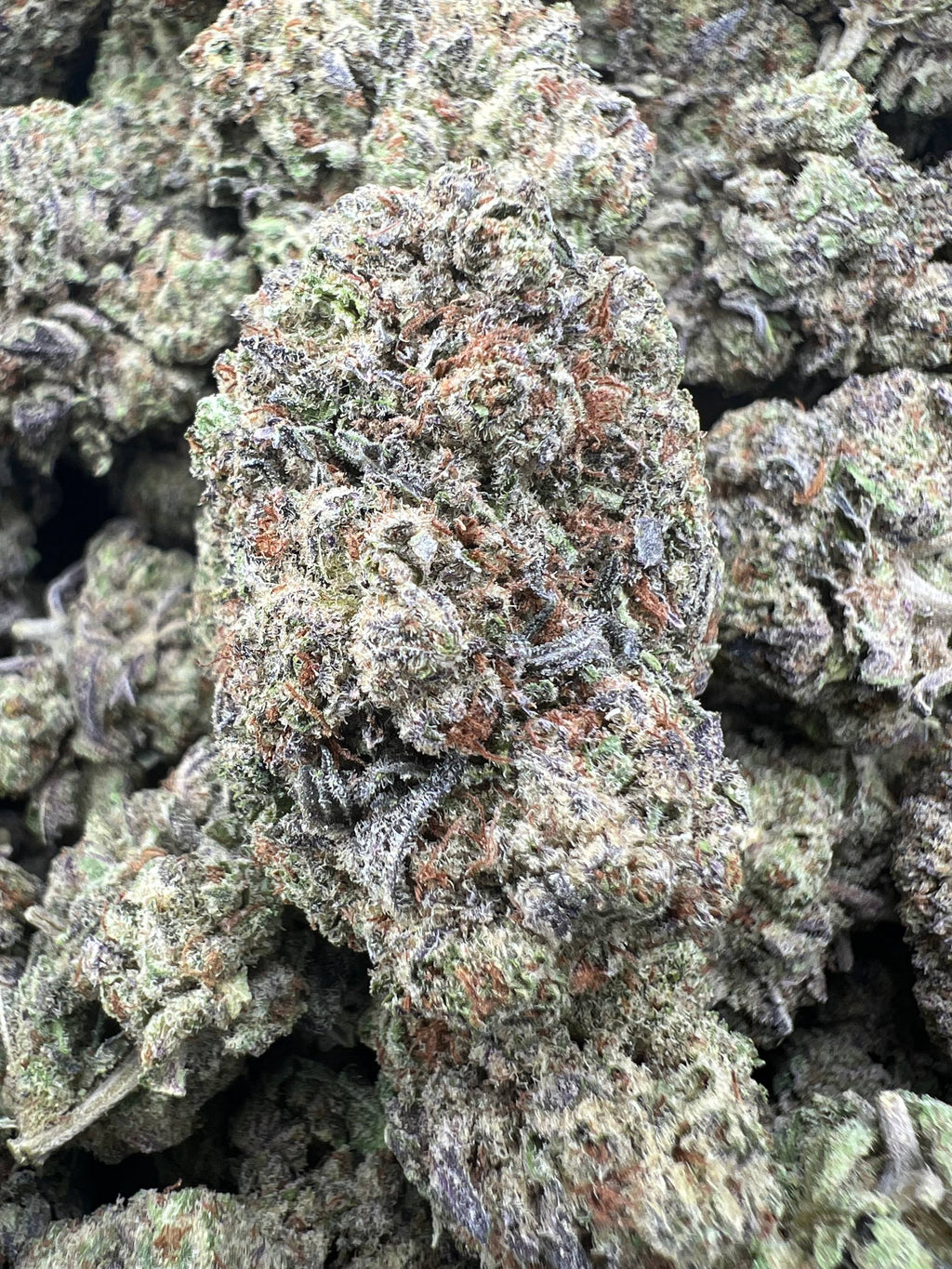 SMORES [550]