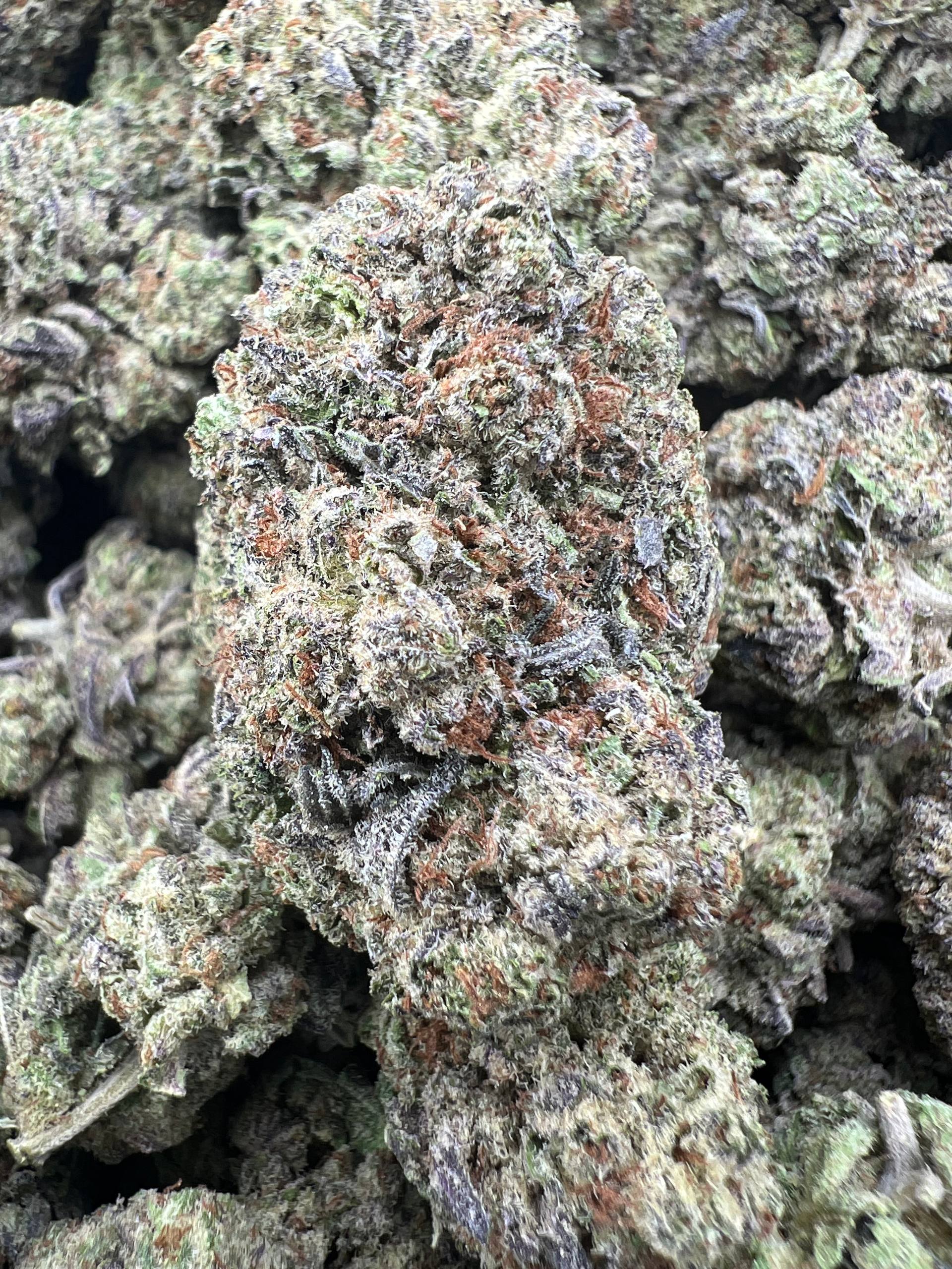 SMORES [550]