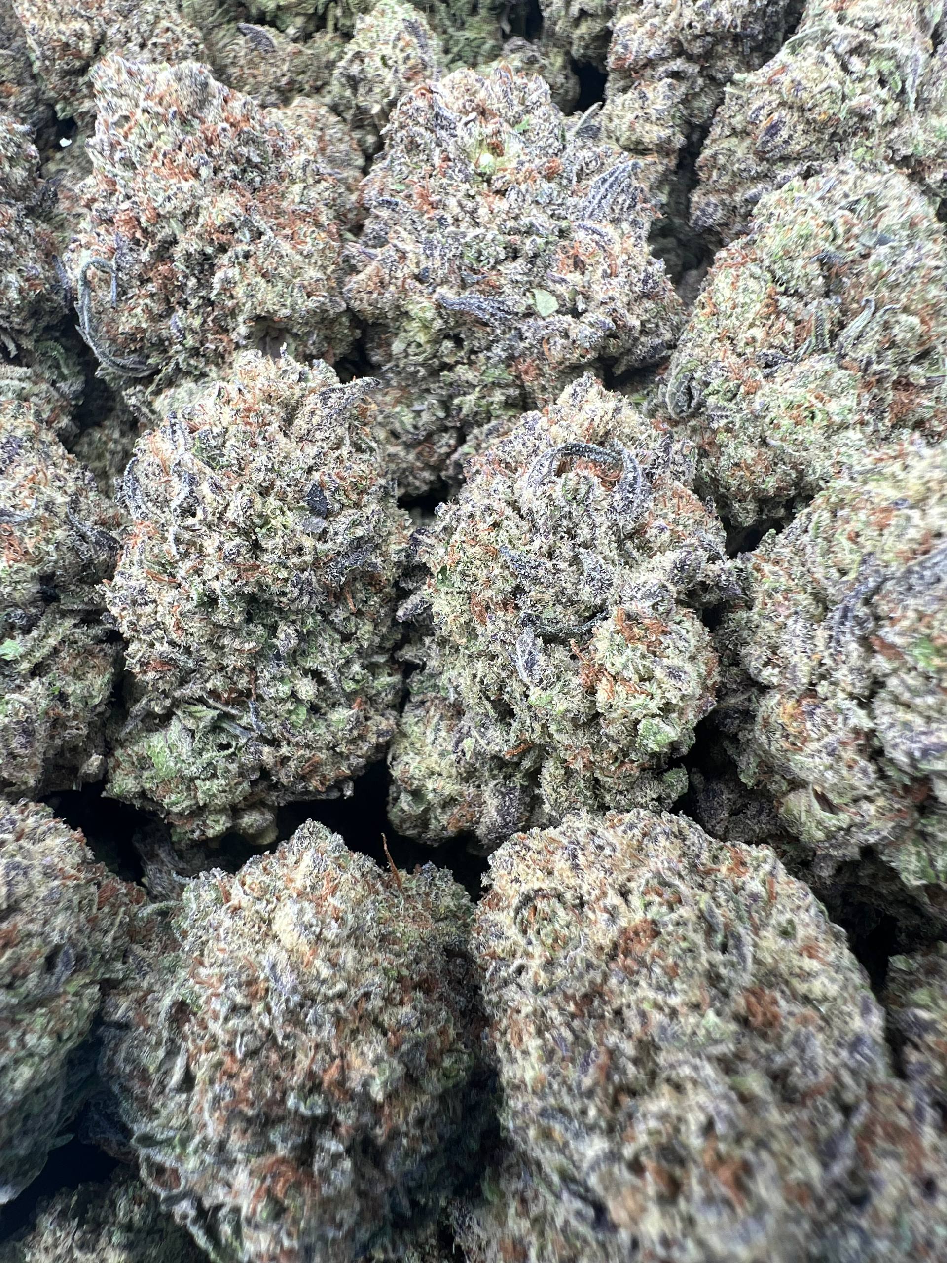 SMORES [550]