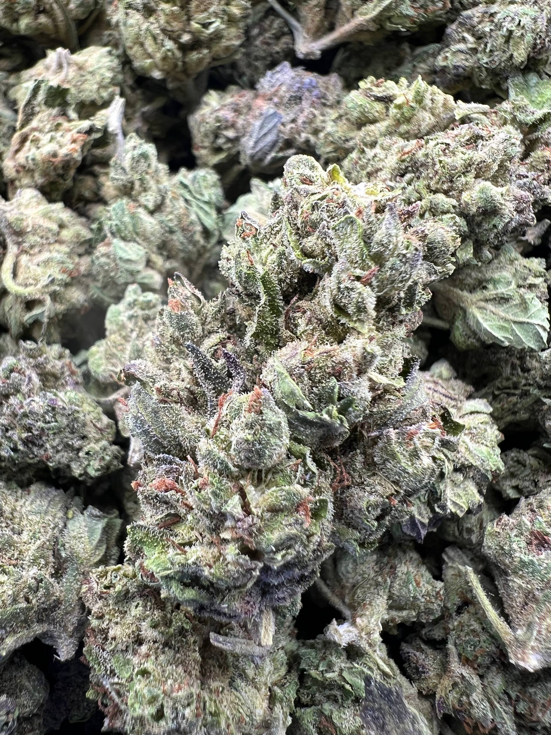 DOSIDO [350]