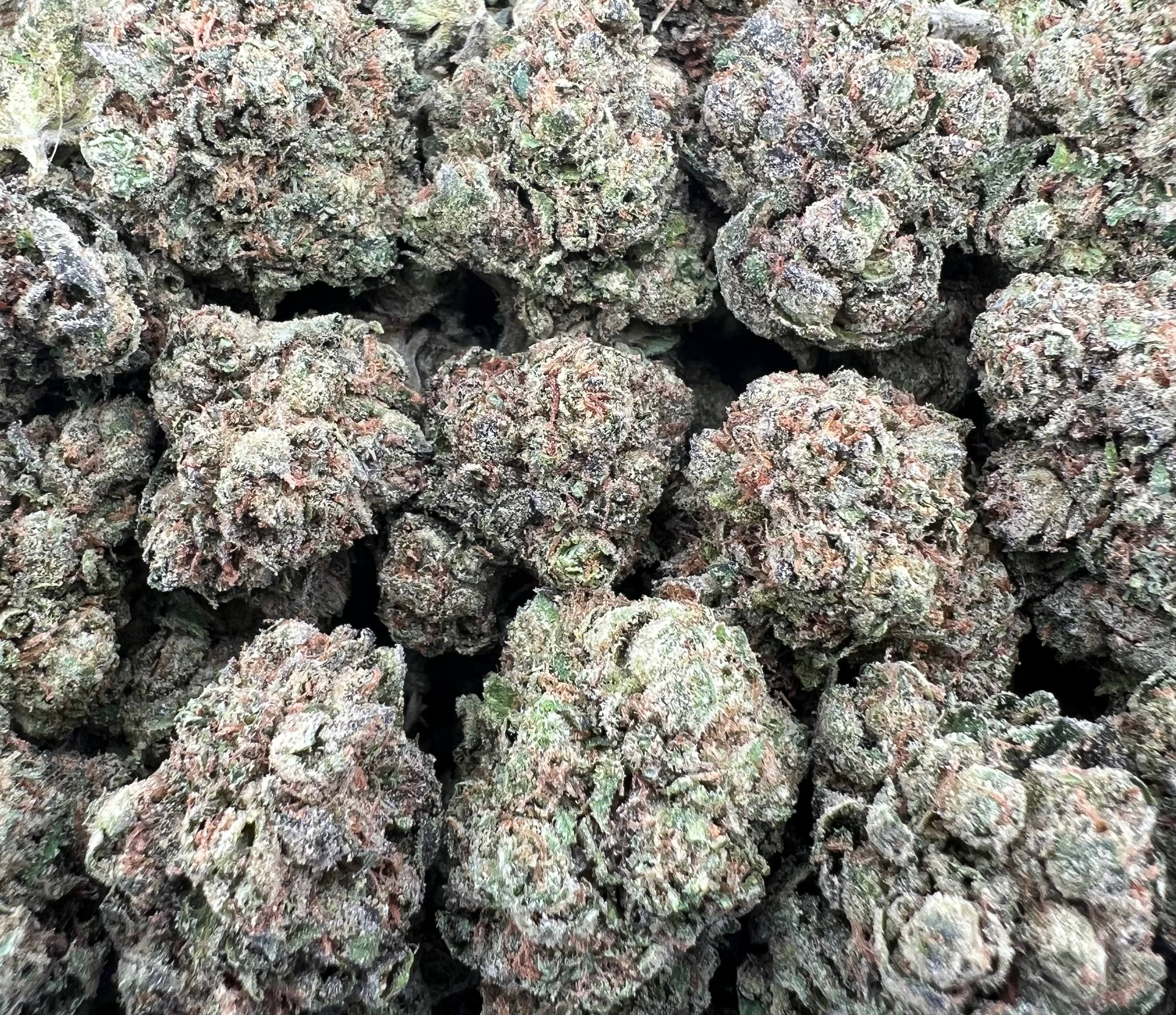 MIRACLE CANDY [575]