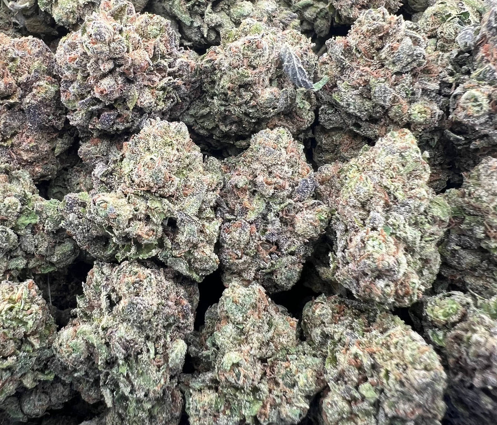 TROPICAL RUNTZ [600]