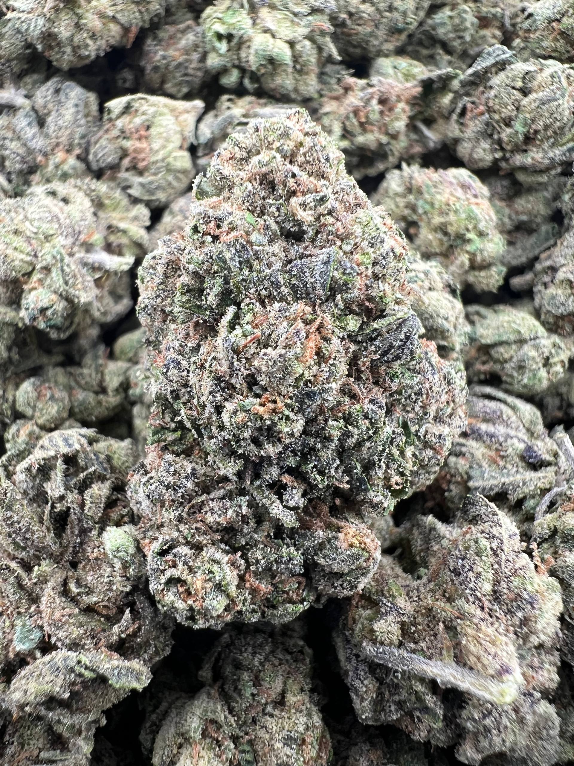 BLACK RUNTZ [475]